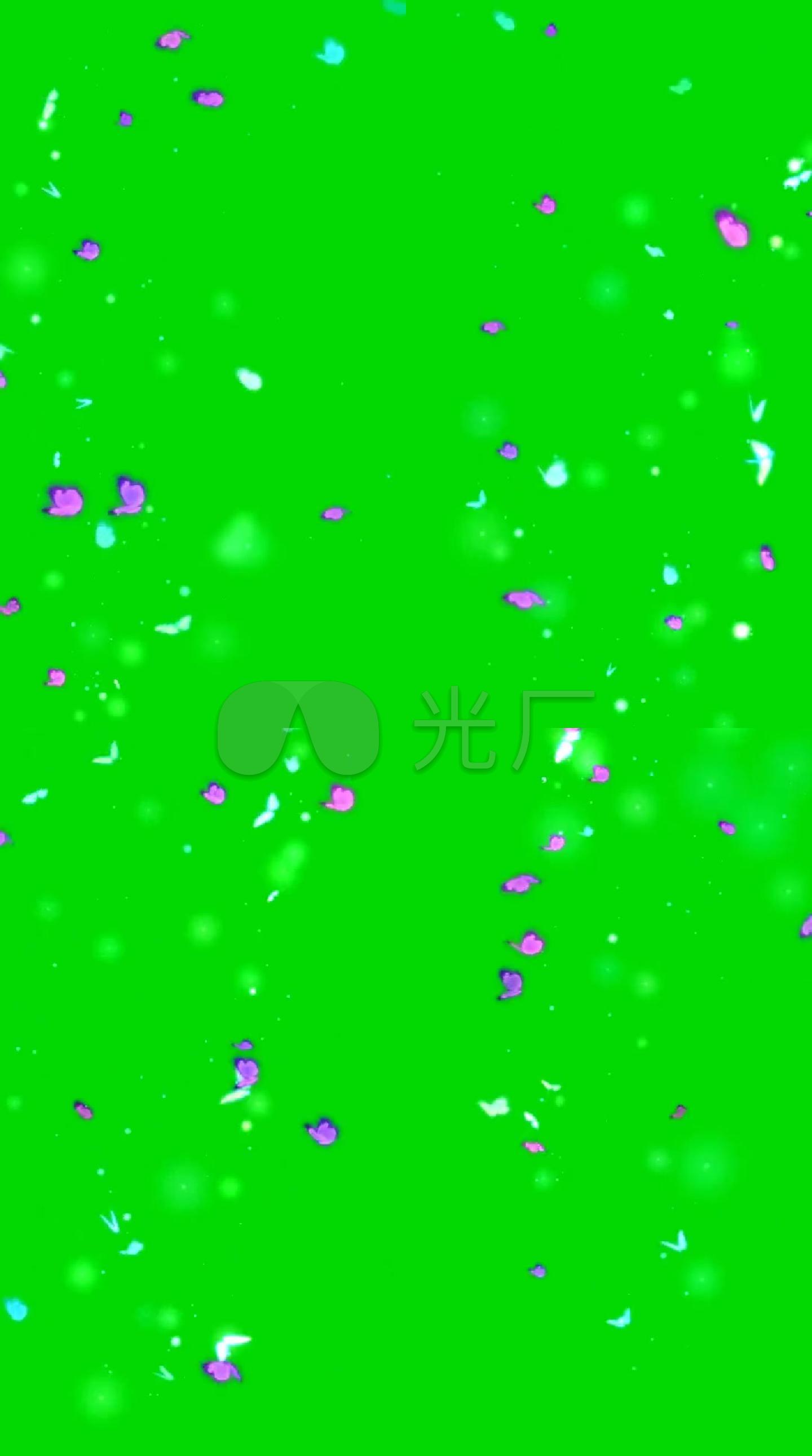 已实名签约 绿幕绿屏蝴蝶浪漫唯美爱情花花朵玫瑰花 【声明】vj师网