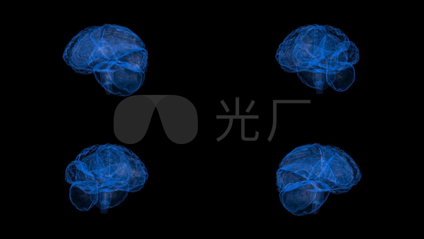 大脑科技显示x光效果