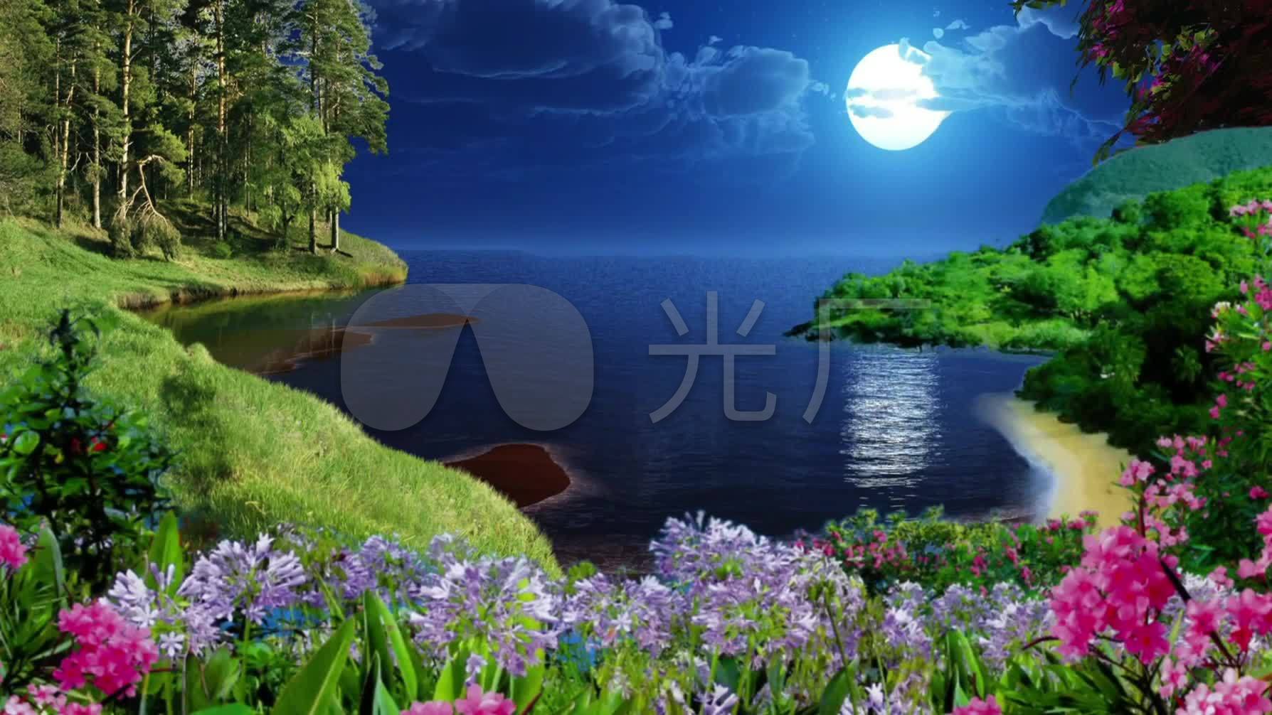 月夜河水花草风景