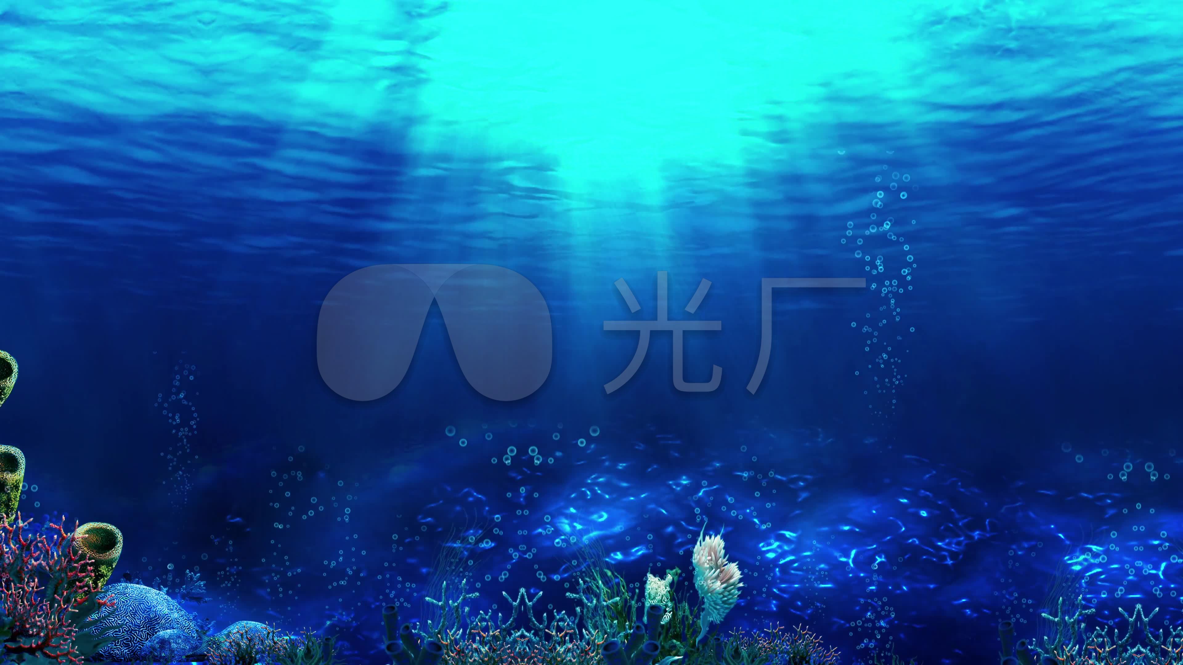 原创4k循环海底视频素材