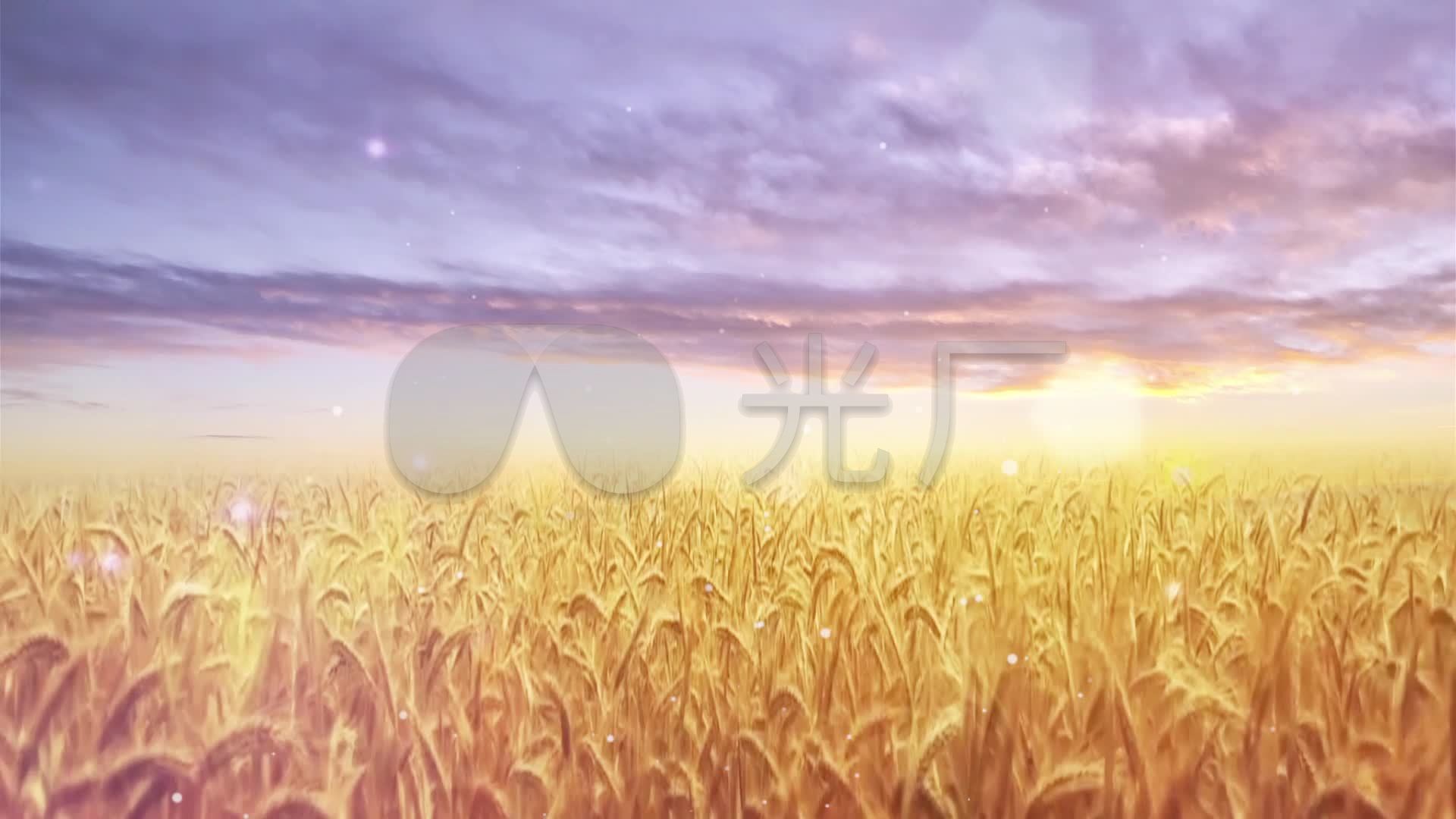 歌曲-稻香-周杰伦_1920x1080_高清视频素材下载(编号