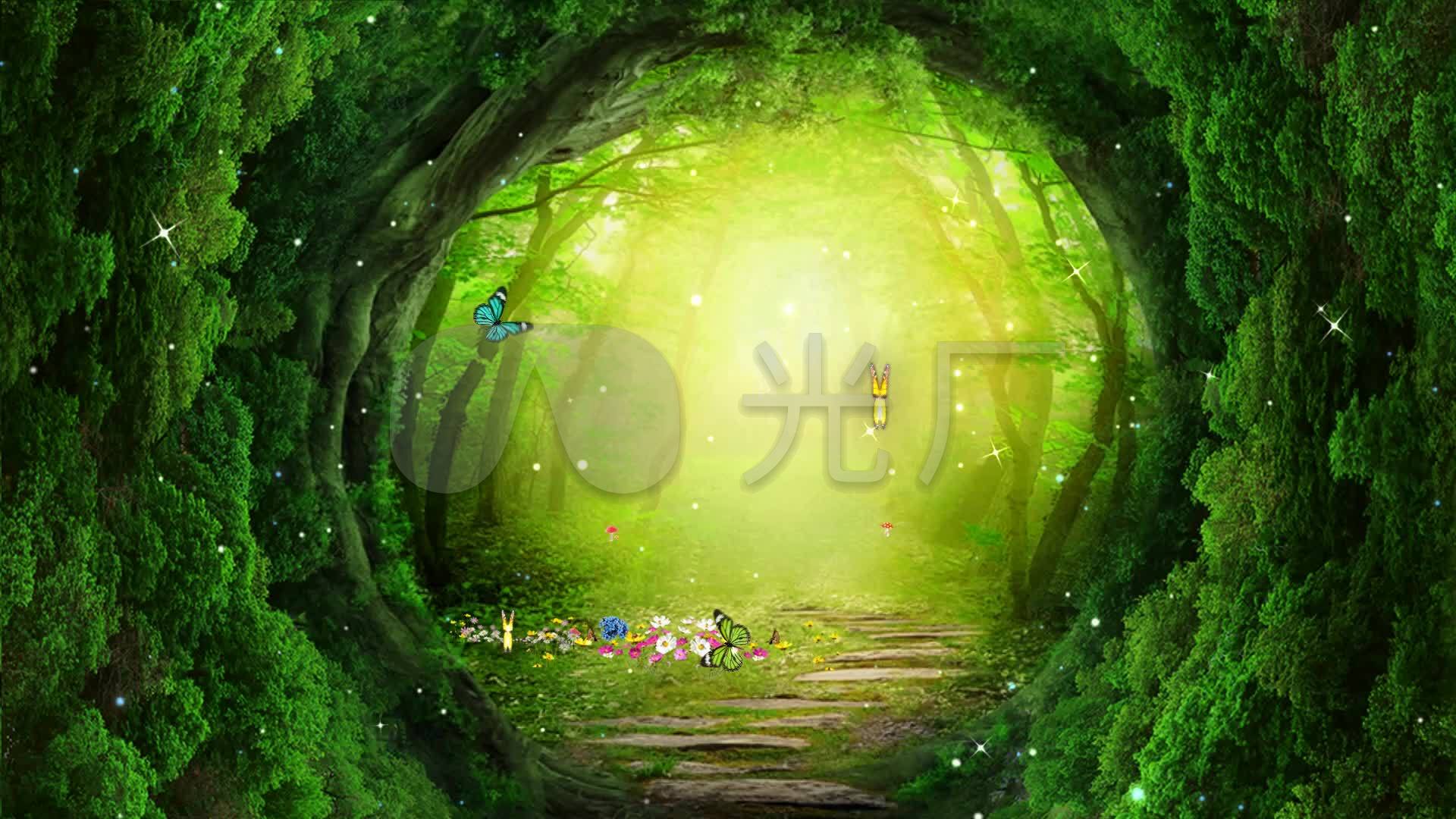 卡通森林蝴蝶绿野仙踪主题背景_1920x1080_高清视频