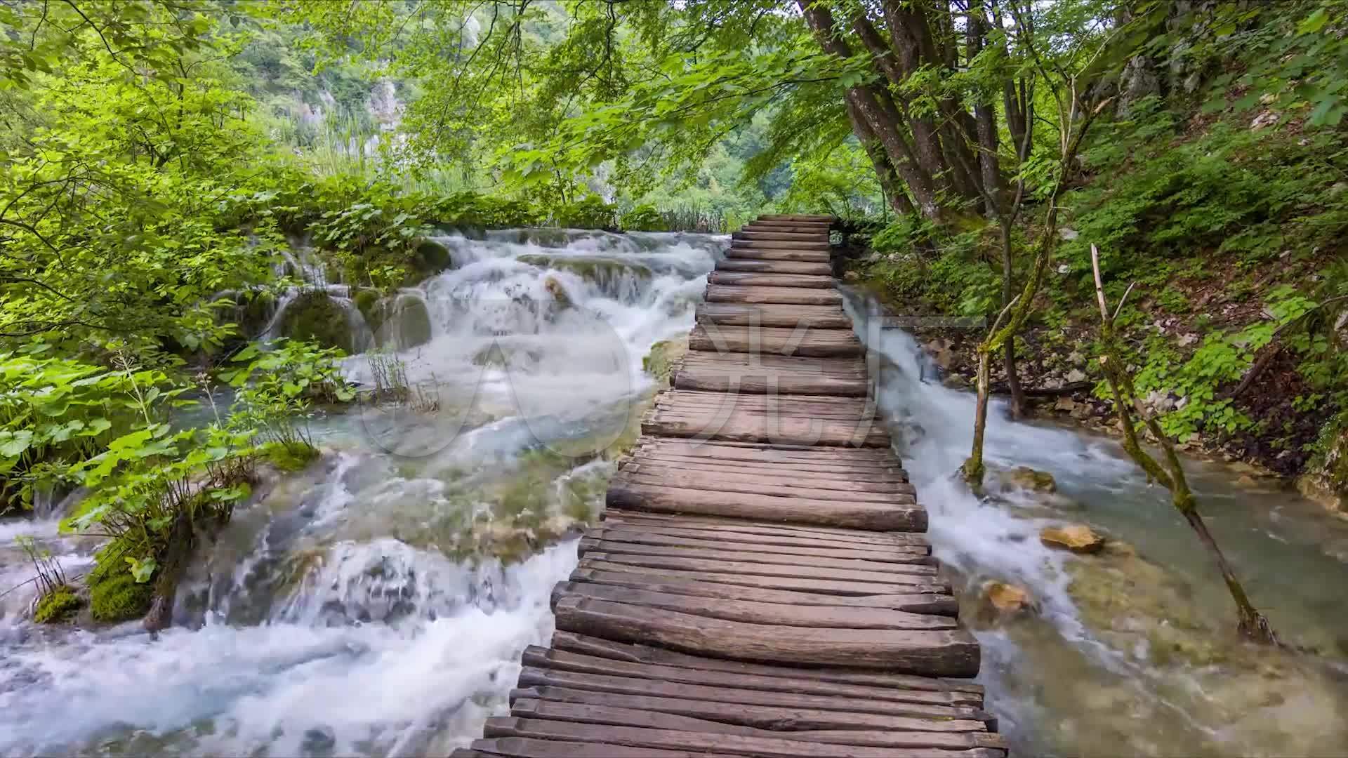 林中小桥流水_1920x1080_高清视频素材下载(编号:)