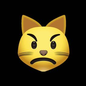 社交媒体常看到的表情包之撅嘴的猫脸视频素材
