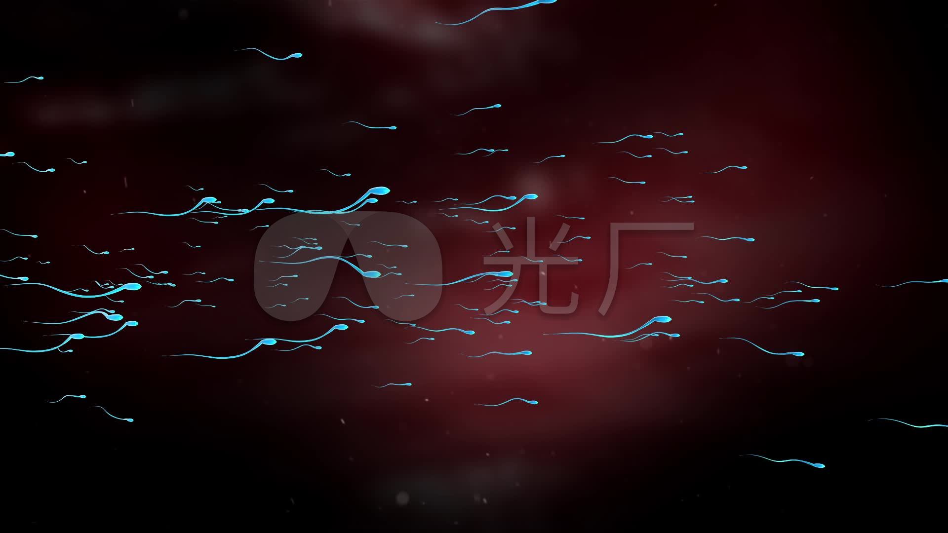 视频汽车_1920X1080_钣金高清素材下载(编号精子教程视频动画图片