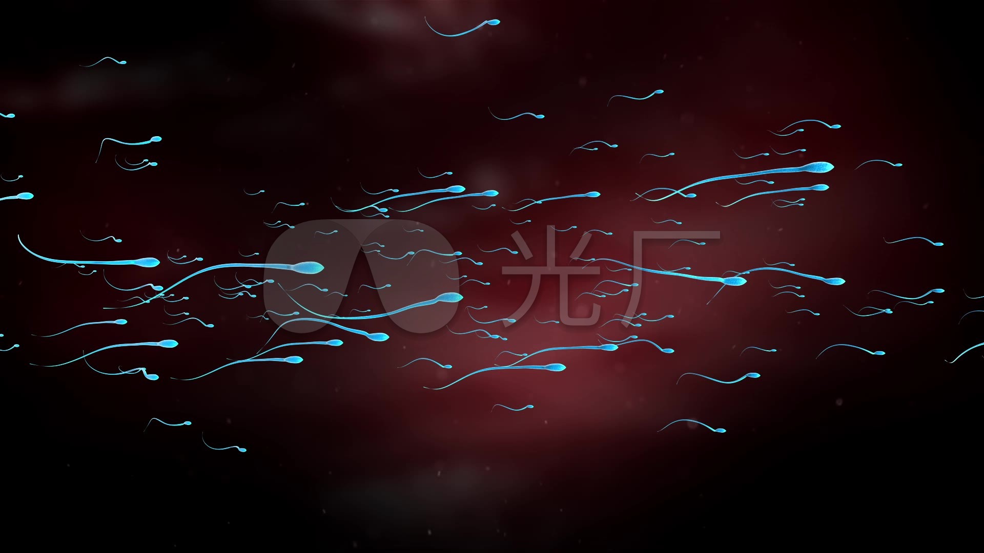 动画视频_1920X1080_步骤魔方素材下载(编号高清v动画方法的手工精子图片