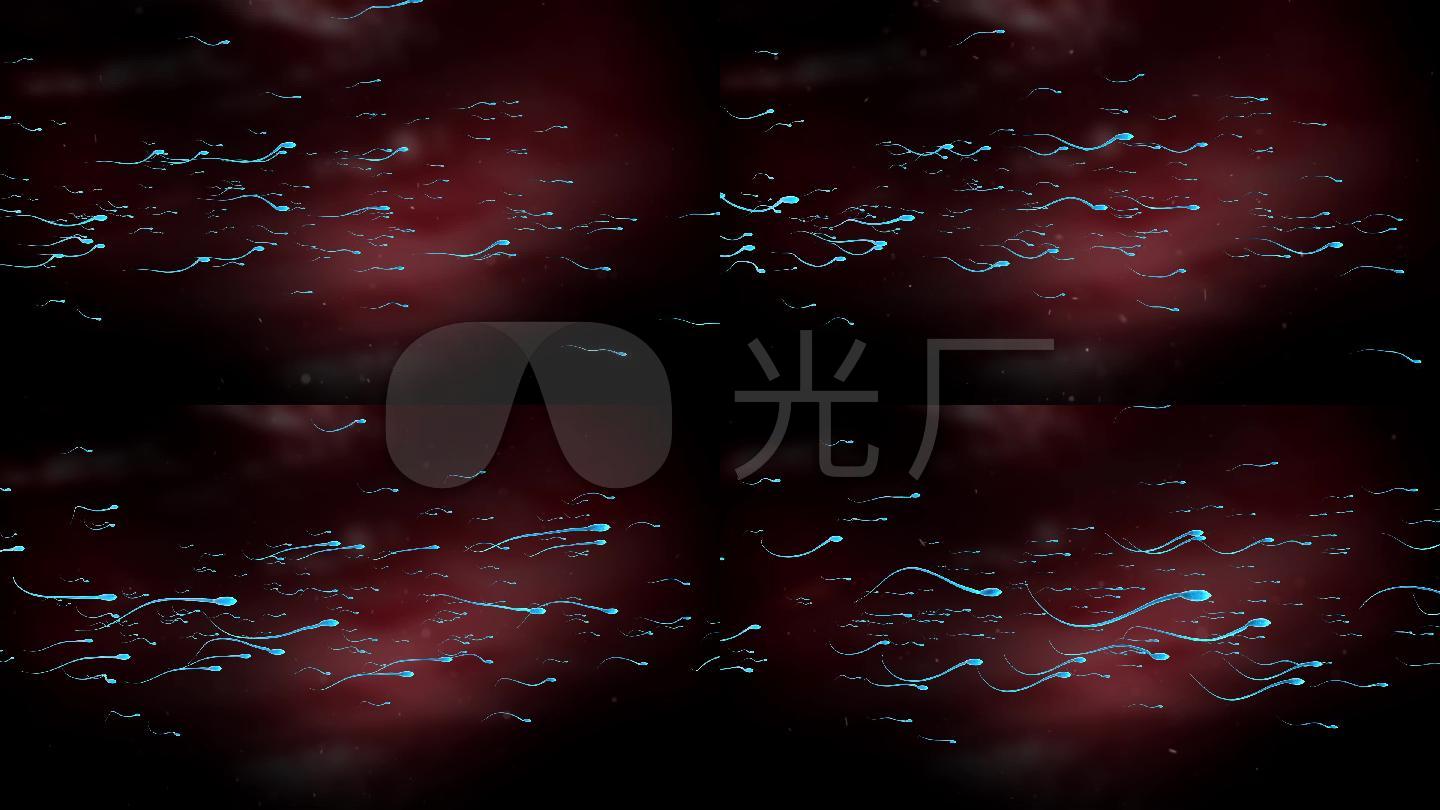 高清图片_1920X1080_水果黏土素材下载(编号教程视频动画精子图片