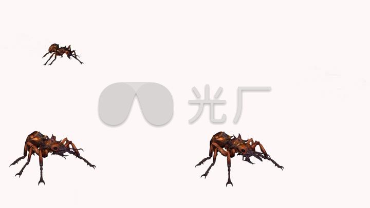 蚂蚁怪兽巨型蚂蚁动物cg模型