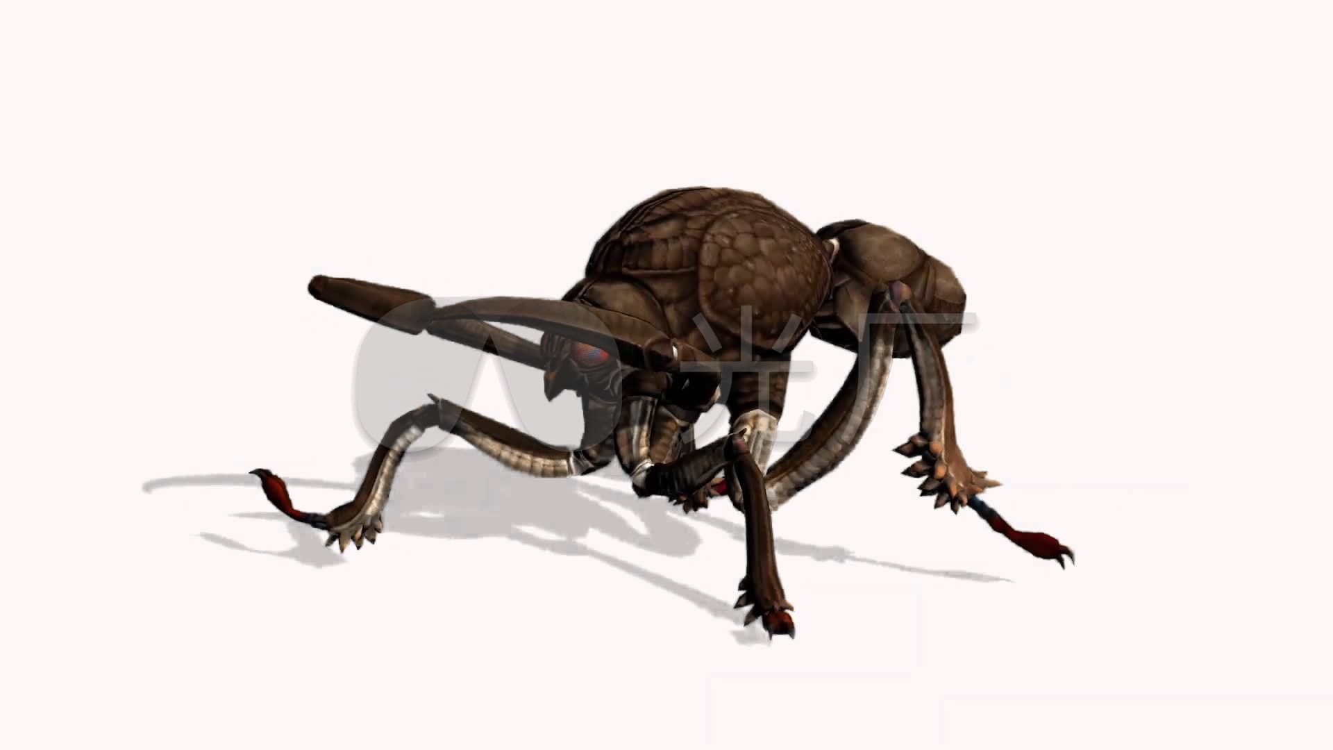 蚂蚁怪兽巨型蚂蚁动物