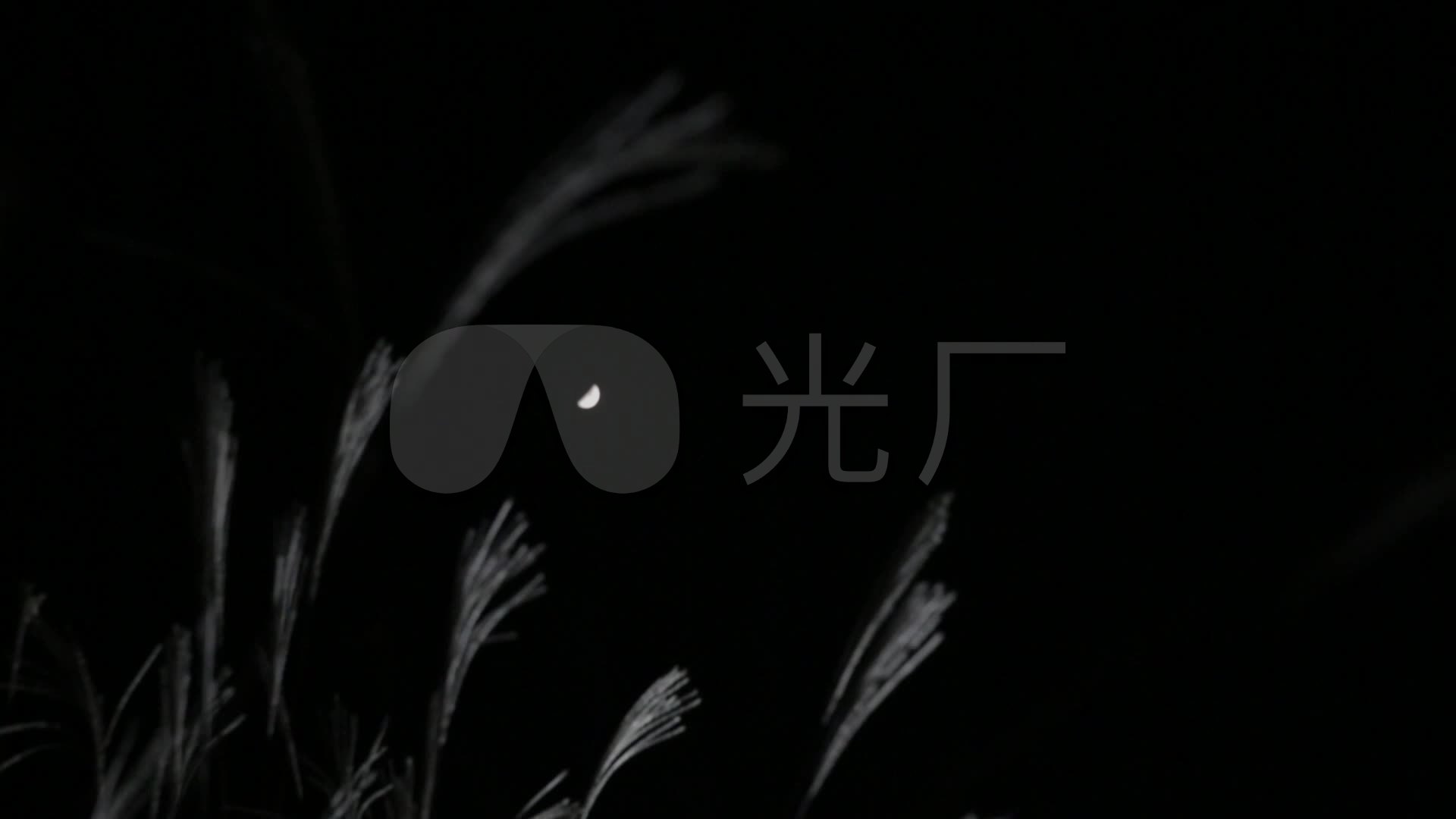 黑色全黑壁纸 1080,黑色全黑壁纸 竖屏 明夜当空漆黑夜间夜黑风高月亮_1920x1080_高清视频