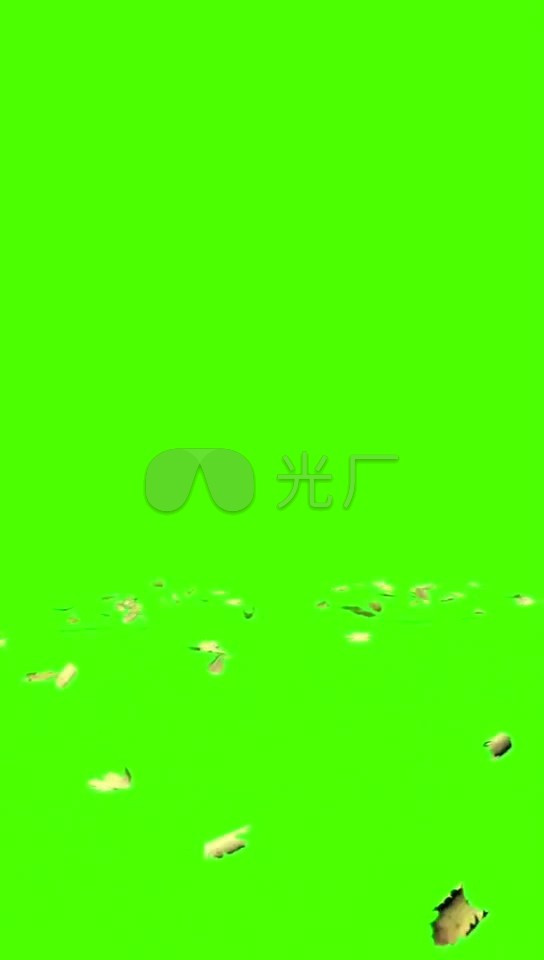 风吹落叶起舞绿幕素材