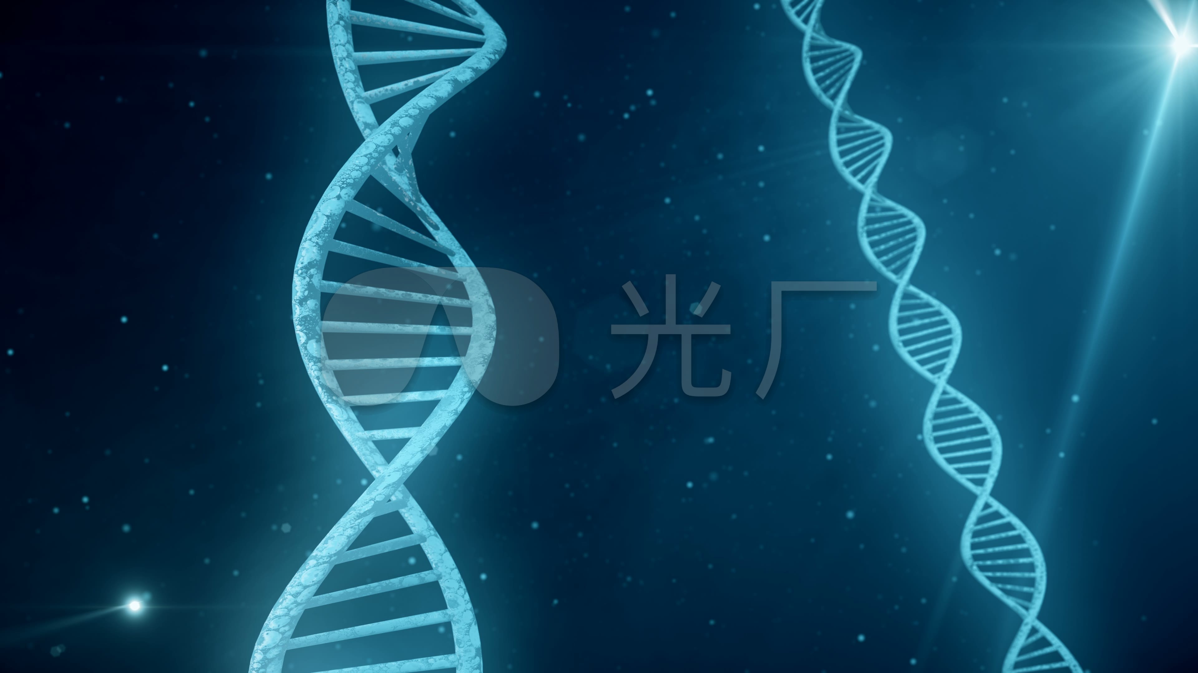 dna双螺旋结构_3840x2160_高清视频素材下载(编号:3365611)_实拍视频