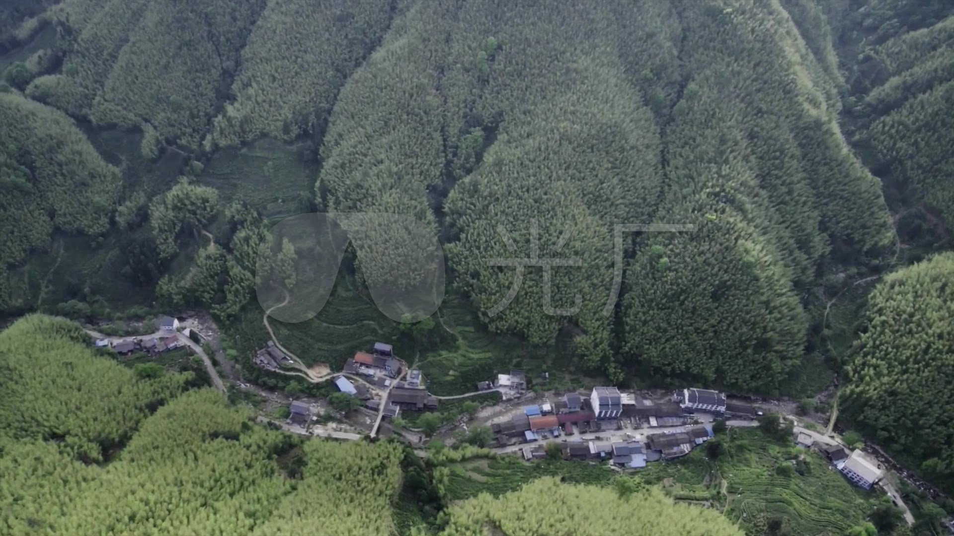 航拍武夷山种茶茶园茶叶树桐木村正山小种红_1920x
