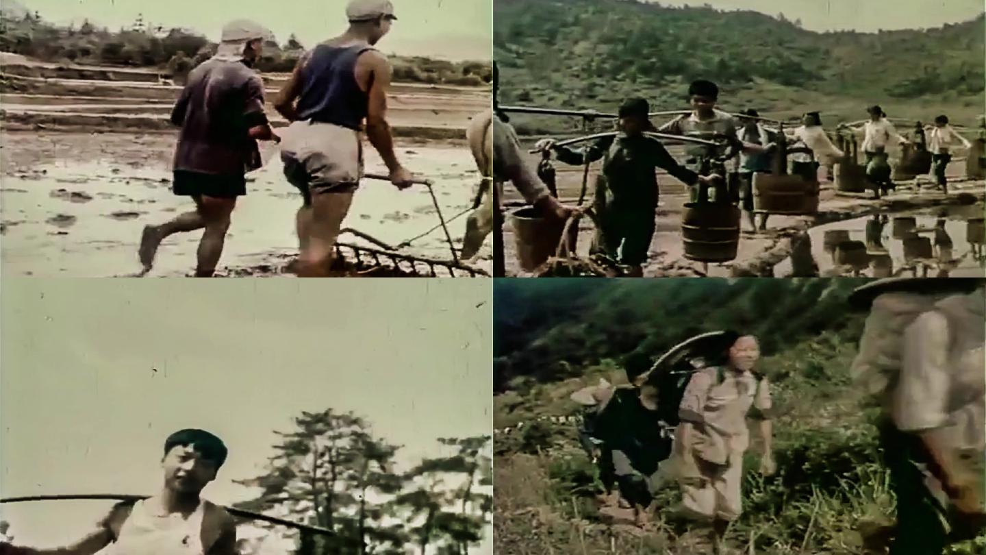 建国初期知青学农【6070年代】