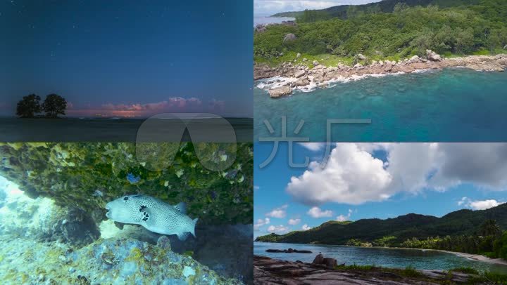 航拍大气海岛岛屿海洋生物