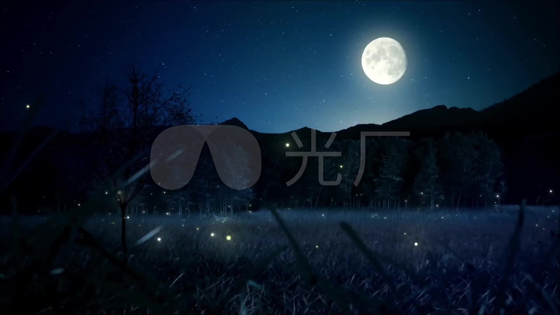 唯美月光下的静谧草地_1920x1080_高清视频素材下载