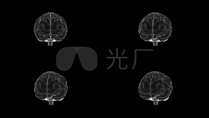 线框三维虚拟现实数字化头脑思考思绪思想脑回路神经系统记忆力存储脑