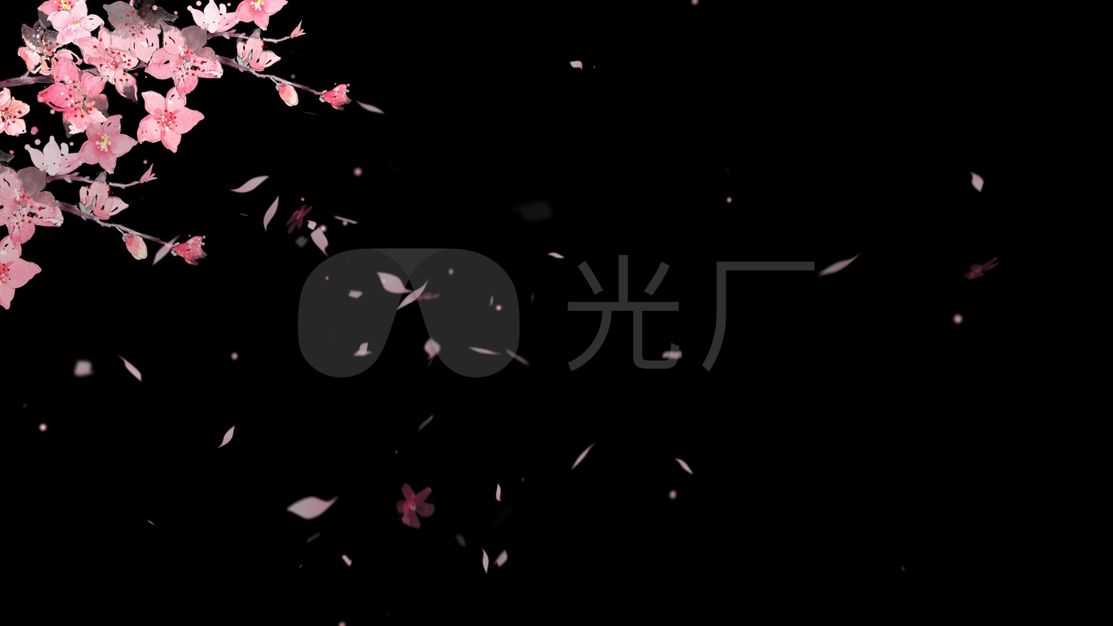 4k桃花花瓣飘落(带通道)