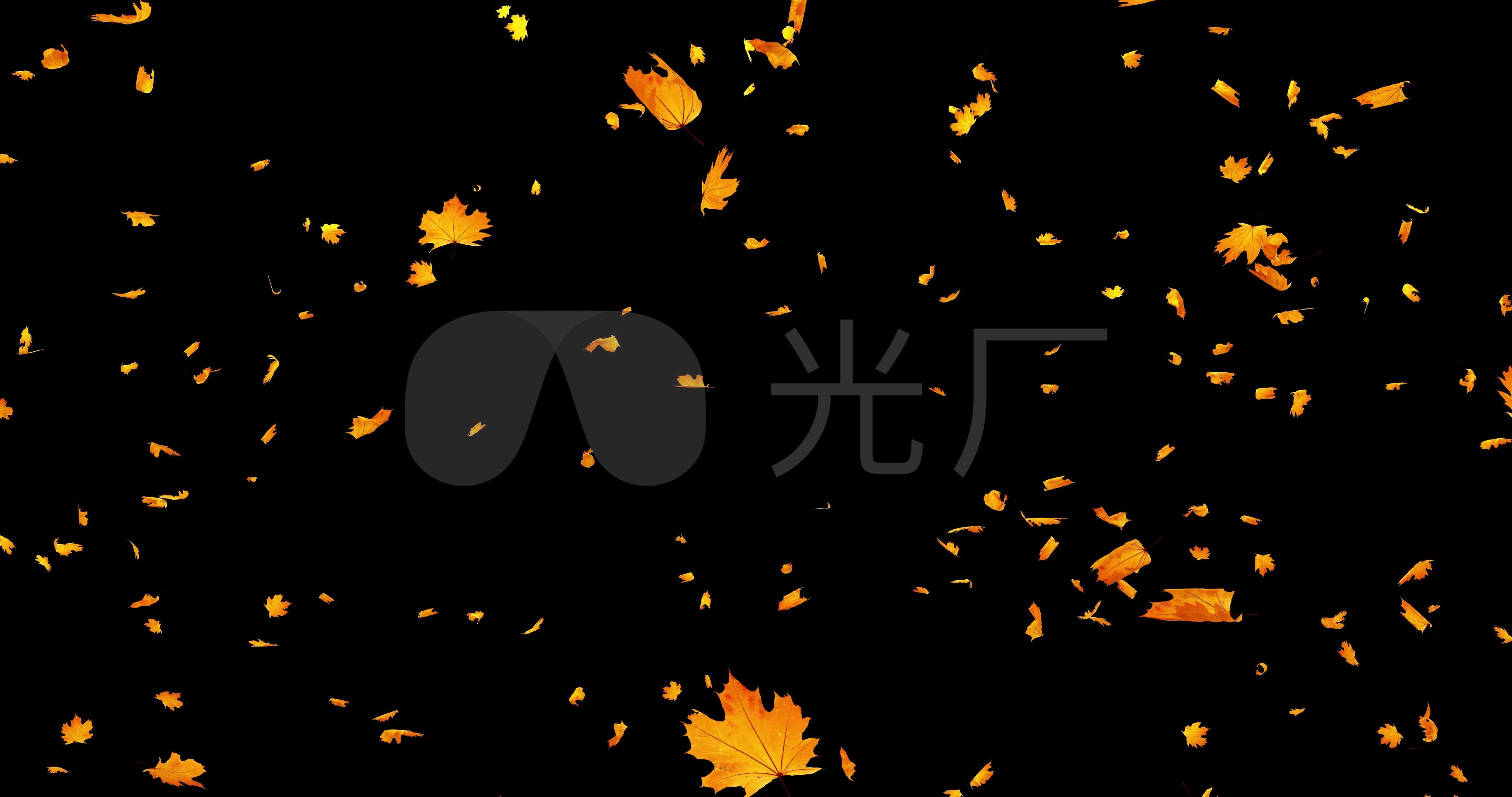 落叶飘散_4096x2160_高清视频素材下载(编号:3450217)