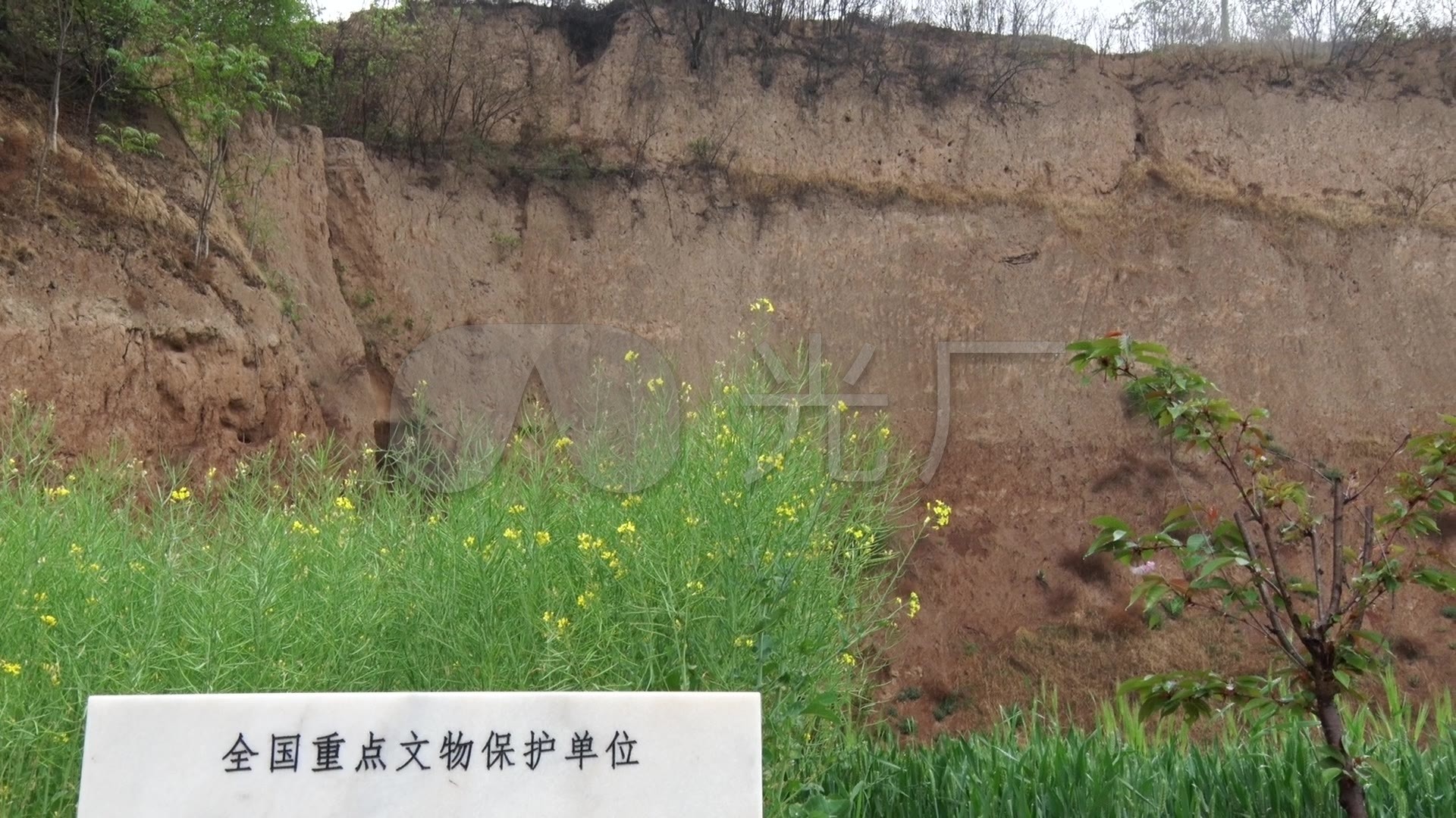 眉县杨家村窖藏遗址
