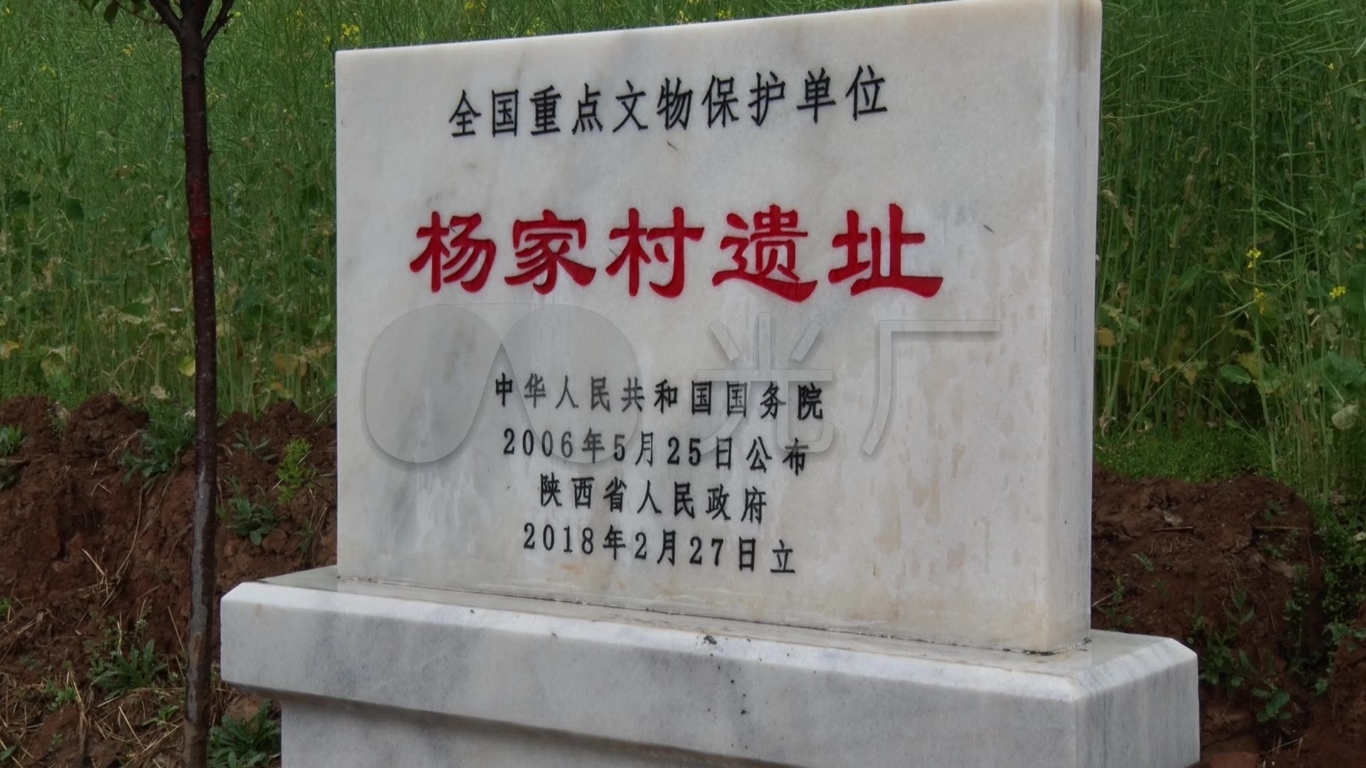 眉县杨家村窖藏遗址