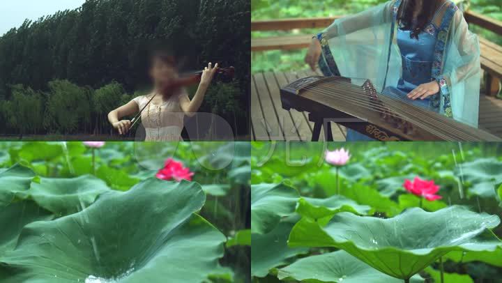 吹视频小提琴弹美景笛子传统_6下载(编号:347古筝英涛图片