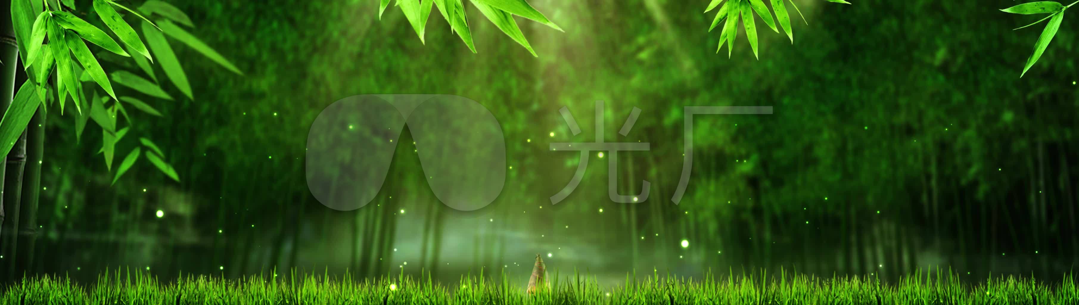 唯美水滴竹林竹笋生长led舞台_36221024_高清(:)