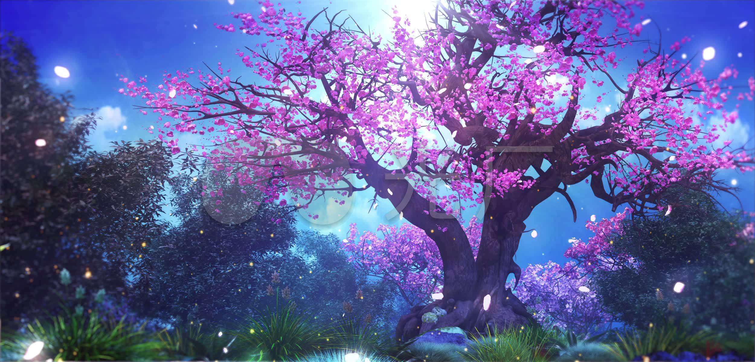 唯美桃花树_2500x1200_高清视频素材下载(编号:3478943)_舞台背景_vj