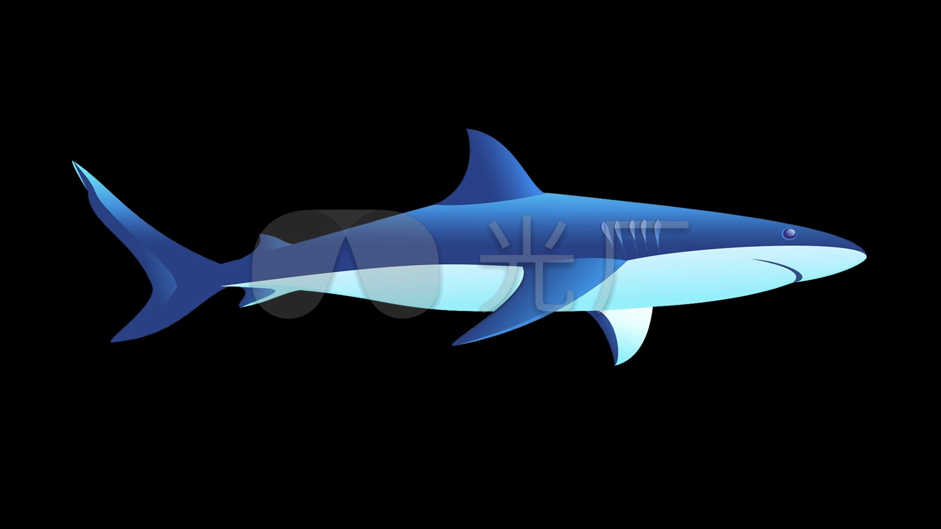可爱卡通鲨鱼蓝色鲨鱼无缝循环