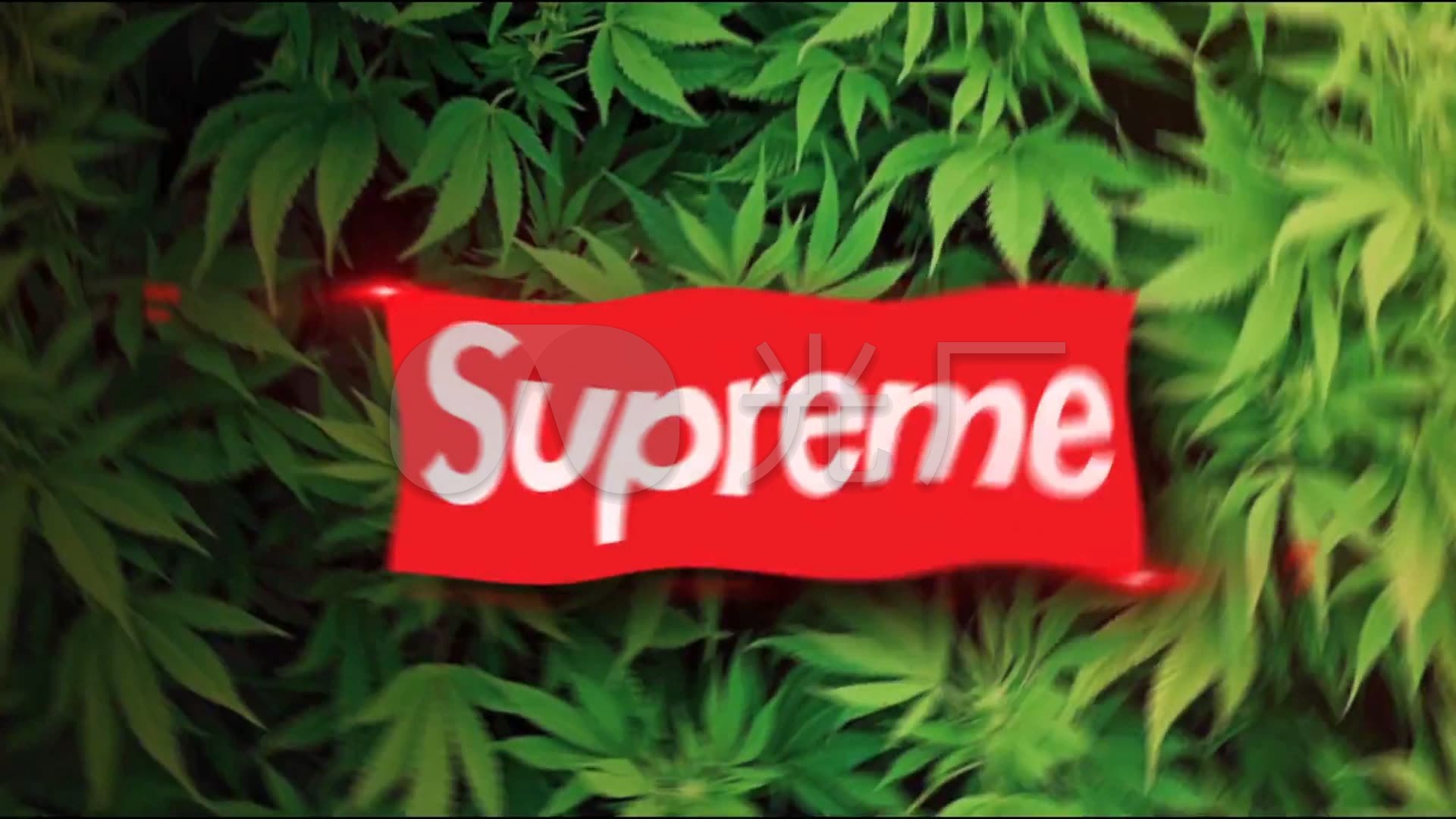 Supreme Logo