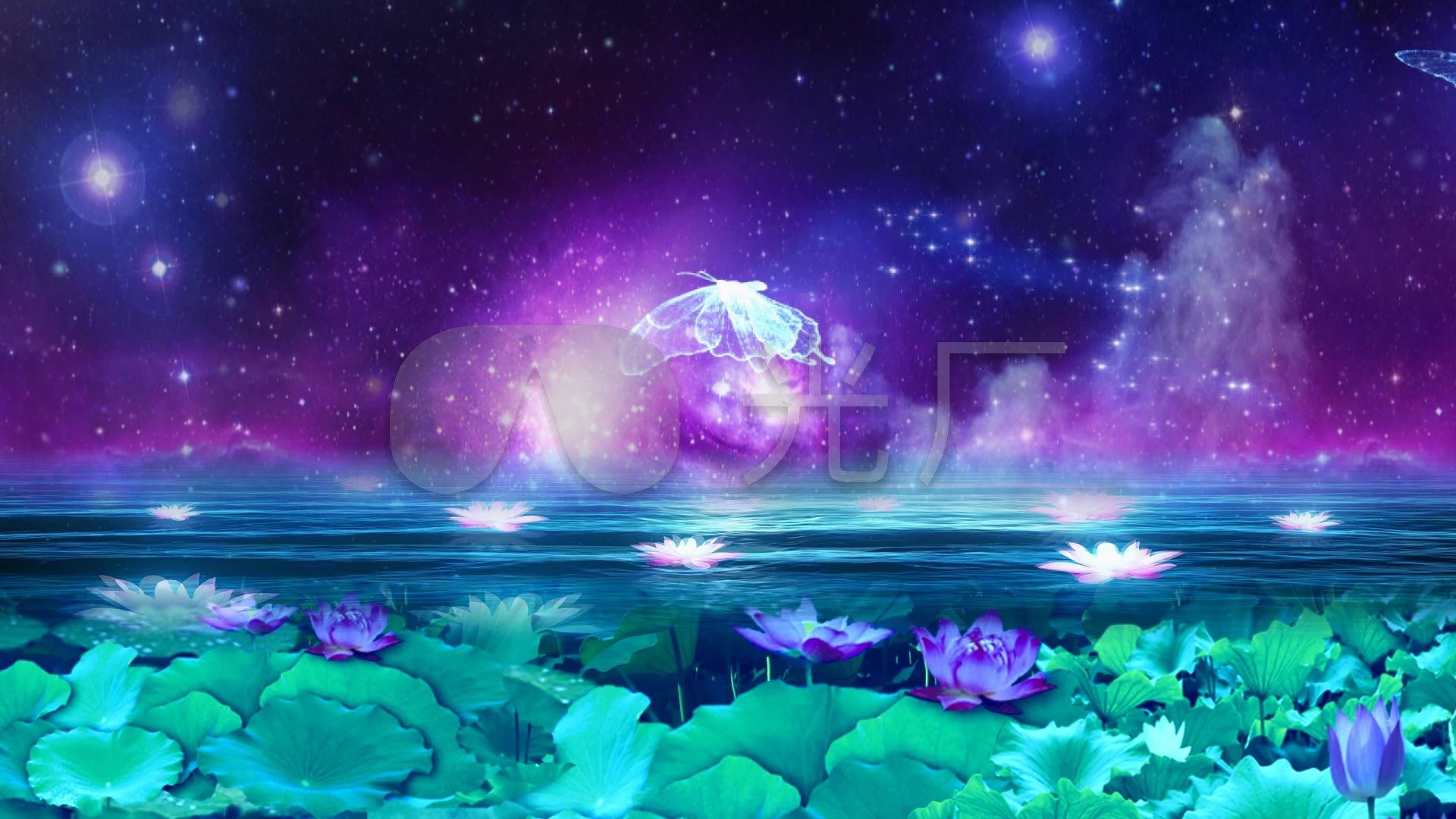 梦幻星空蝴蝶