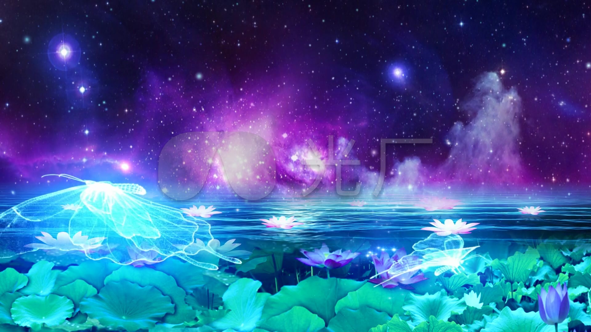 梦幻星空蝴蝶