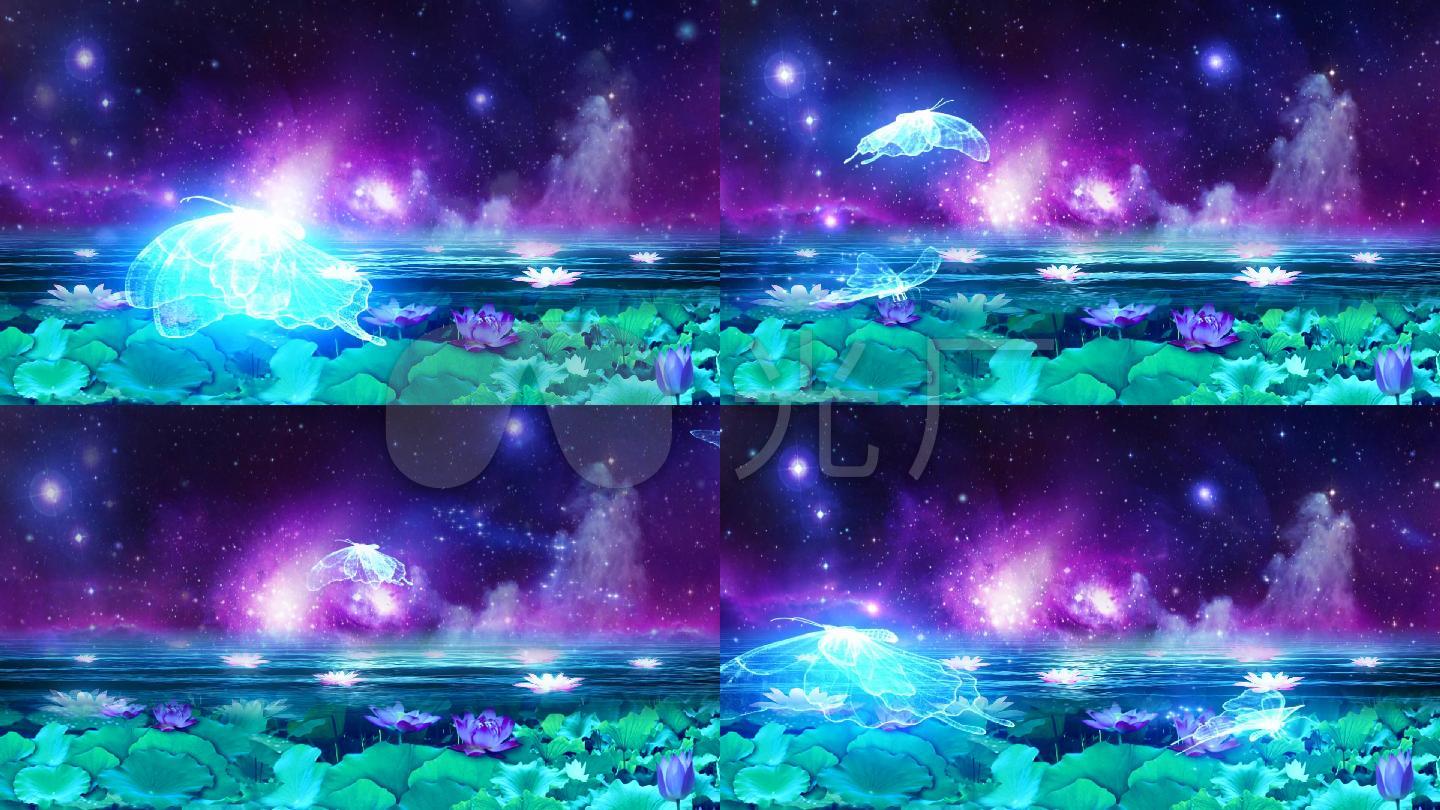 梦幻星空蝴蝶