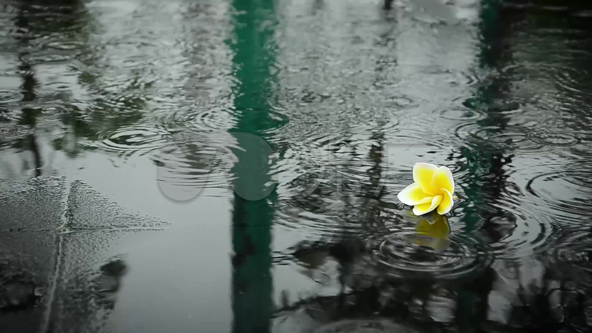 原创实拍唯美雨季水波涟漪
