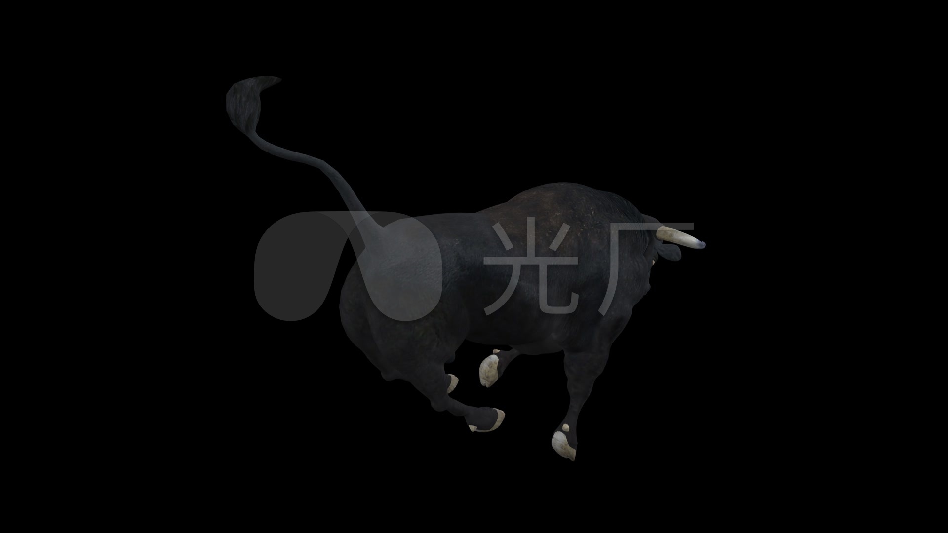 三维动物公牛奔跑野牛
