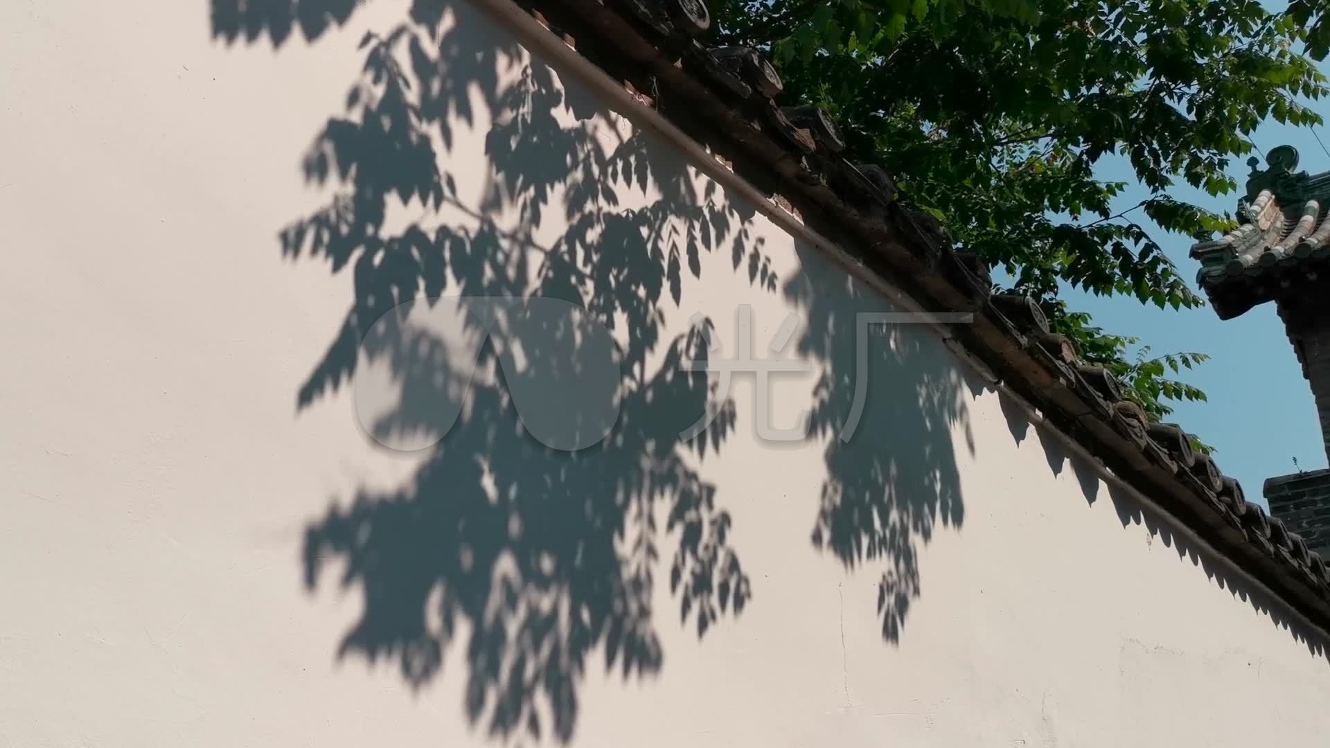 树影婆娑墙壁上的树影光影移动_1920x1080_高清视频素材下载(编号