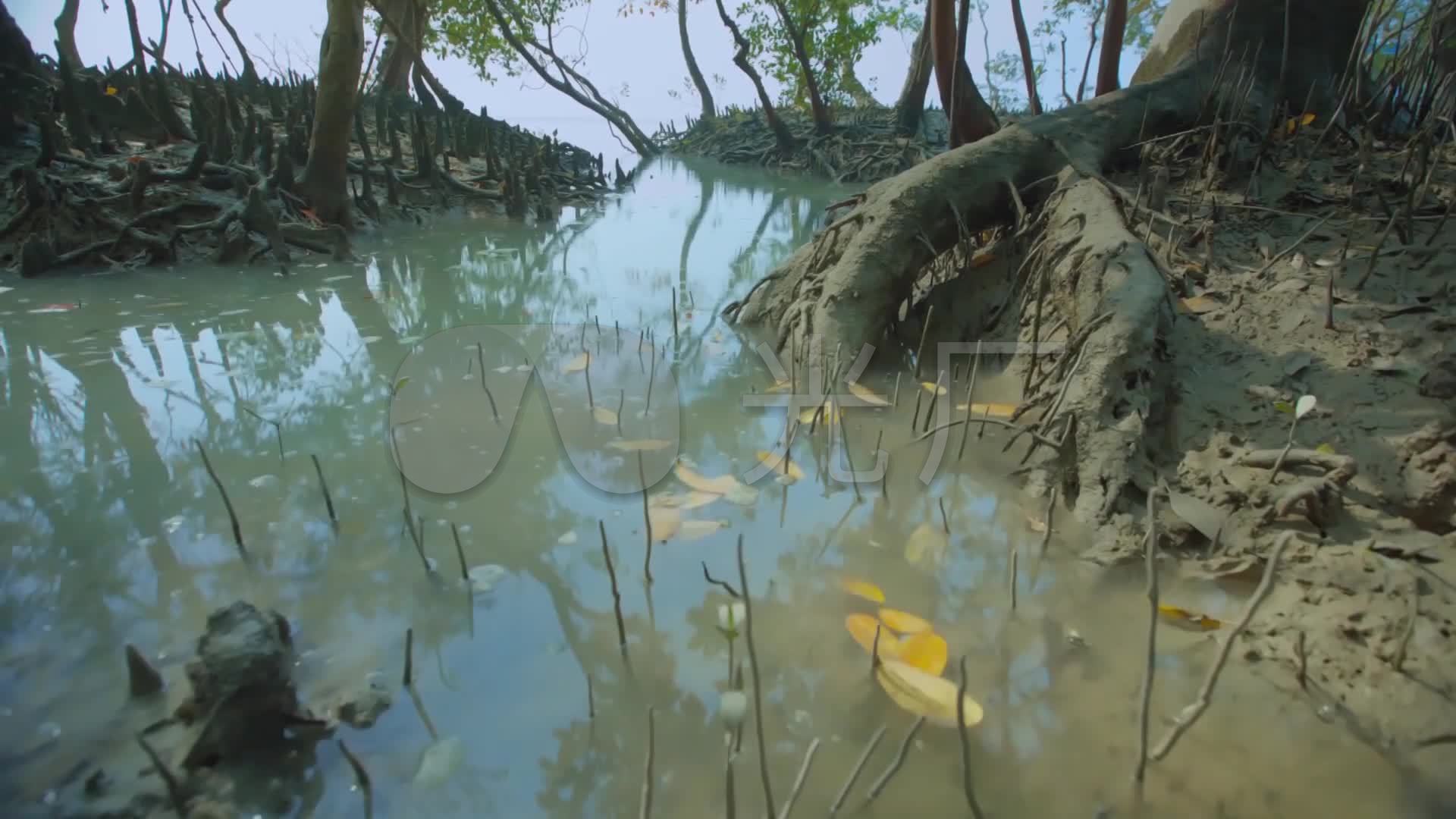河水干枯