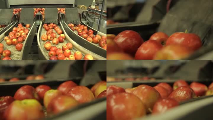 苹果 检测 贸易 进口 水果 加工
