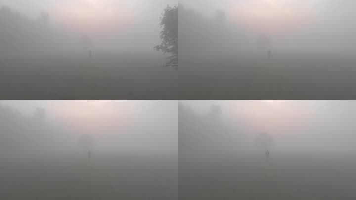 【4k】雾中人影