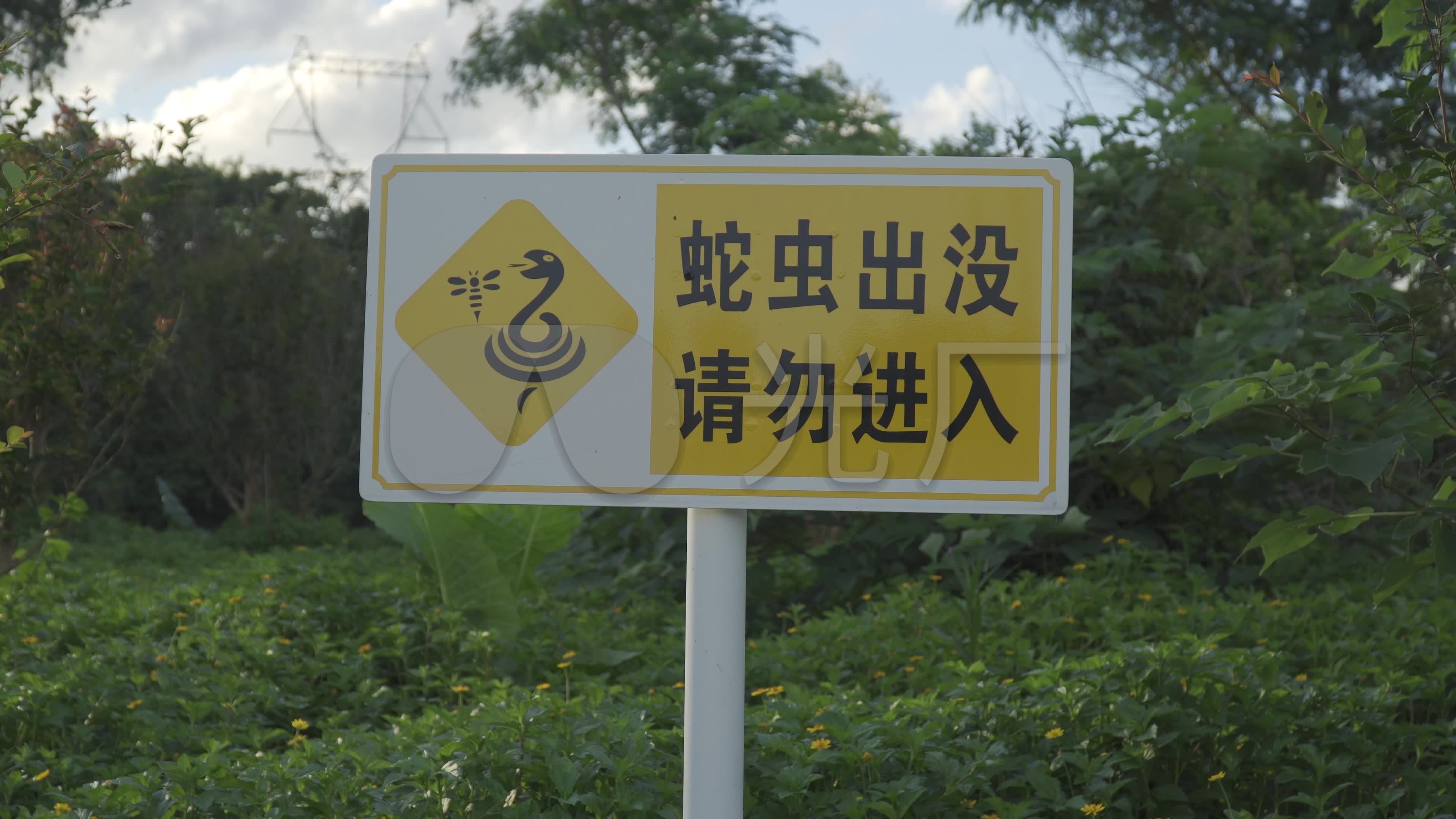 蛇虫出没警示牌_3840x2160_高清视频素材下载(编号:)