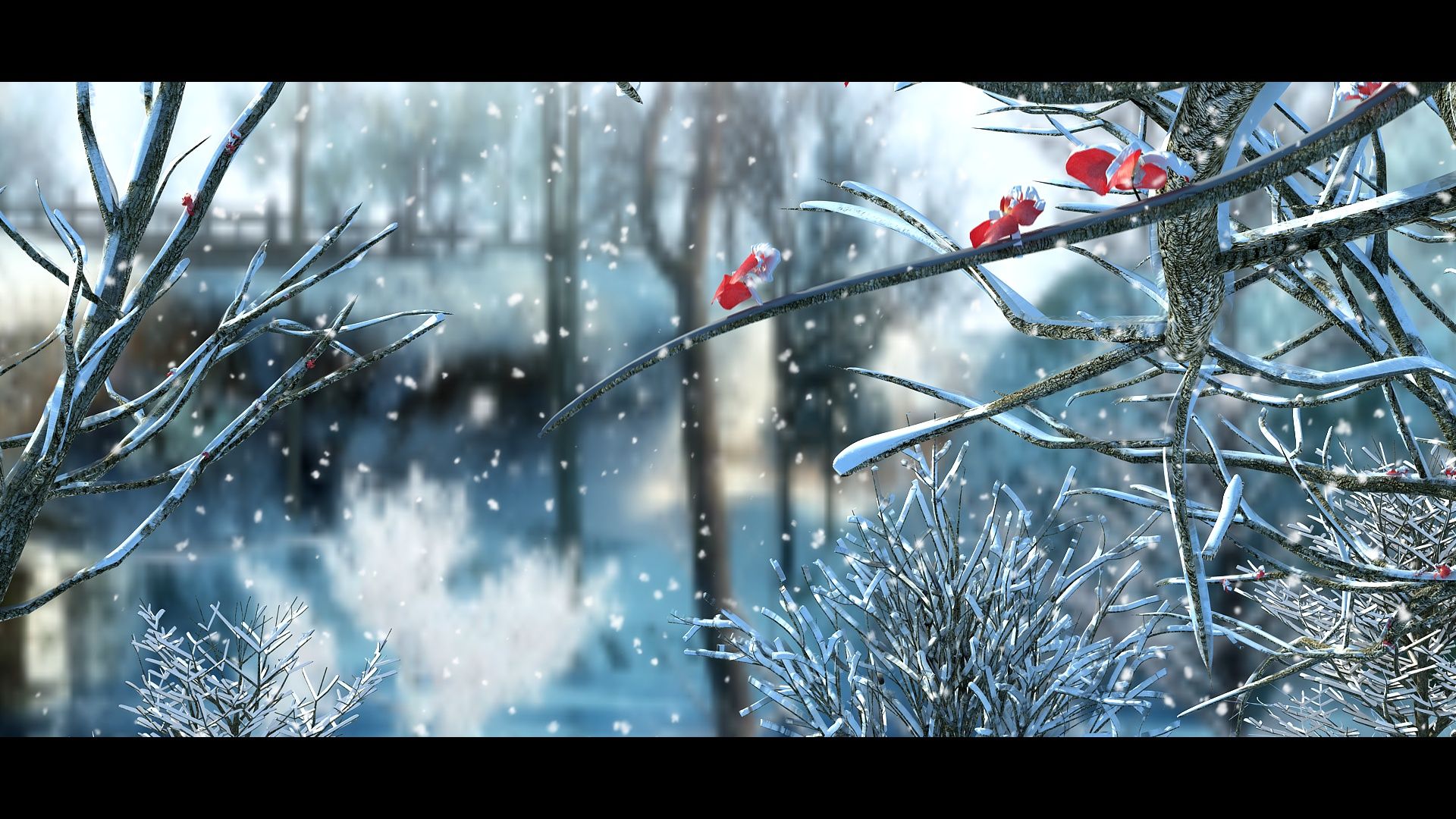 冬天梅花开放雪花飘