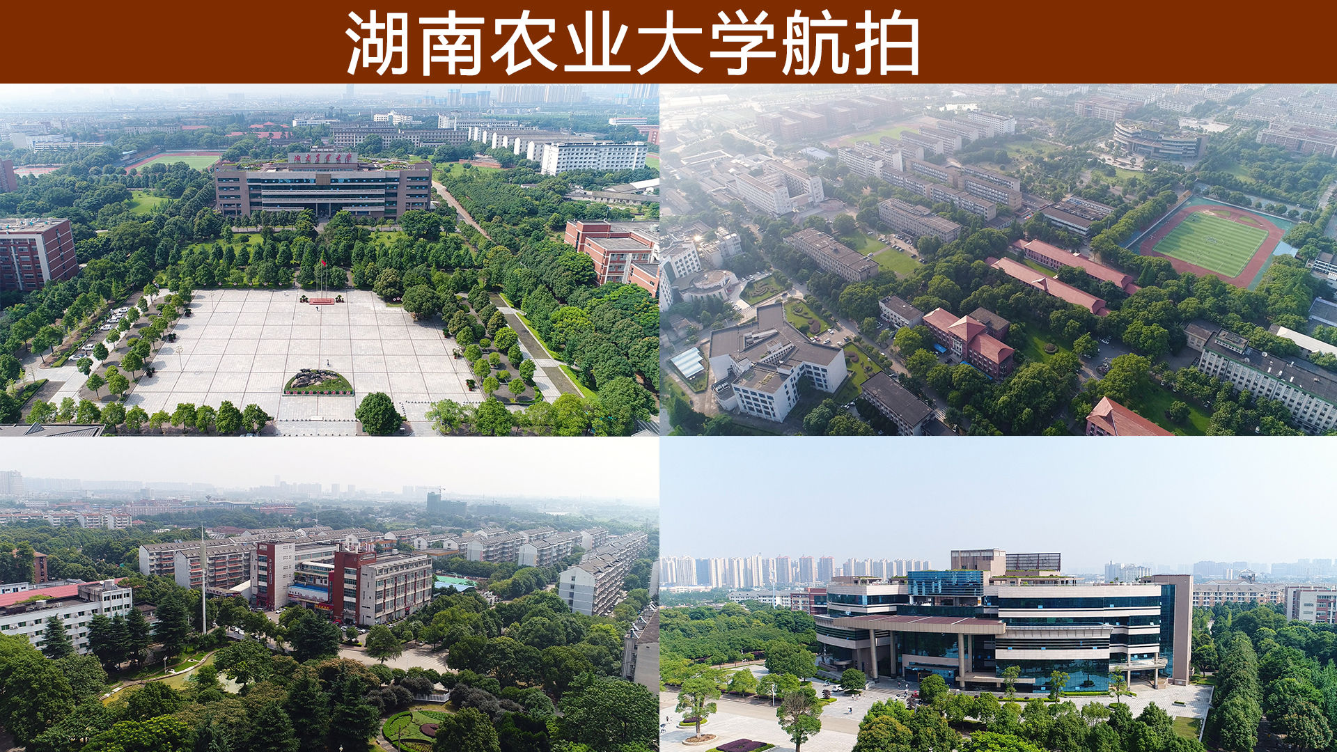 湖南农业大学4k航拍