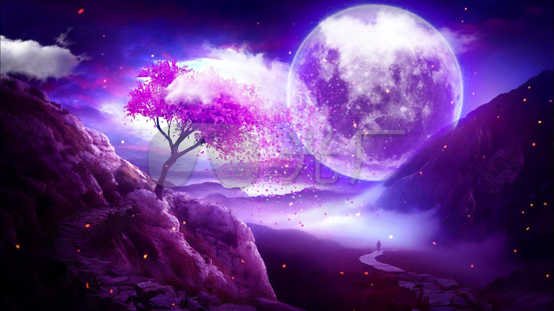 超唯美超梦幻月亮旋转樱花飘落场景