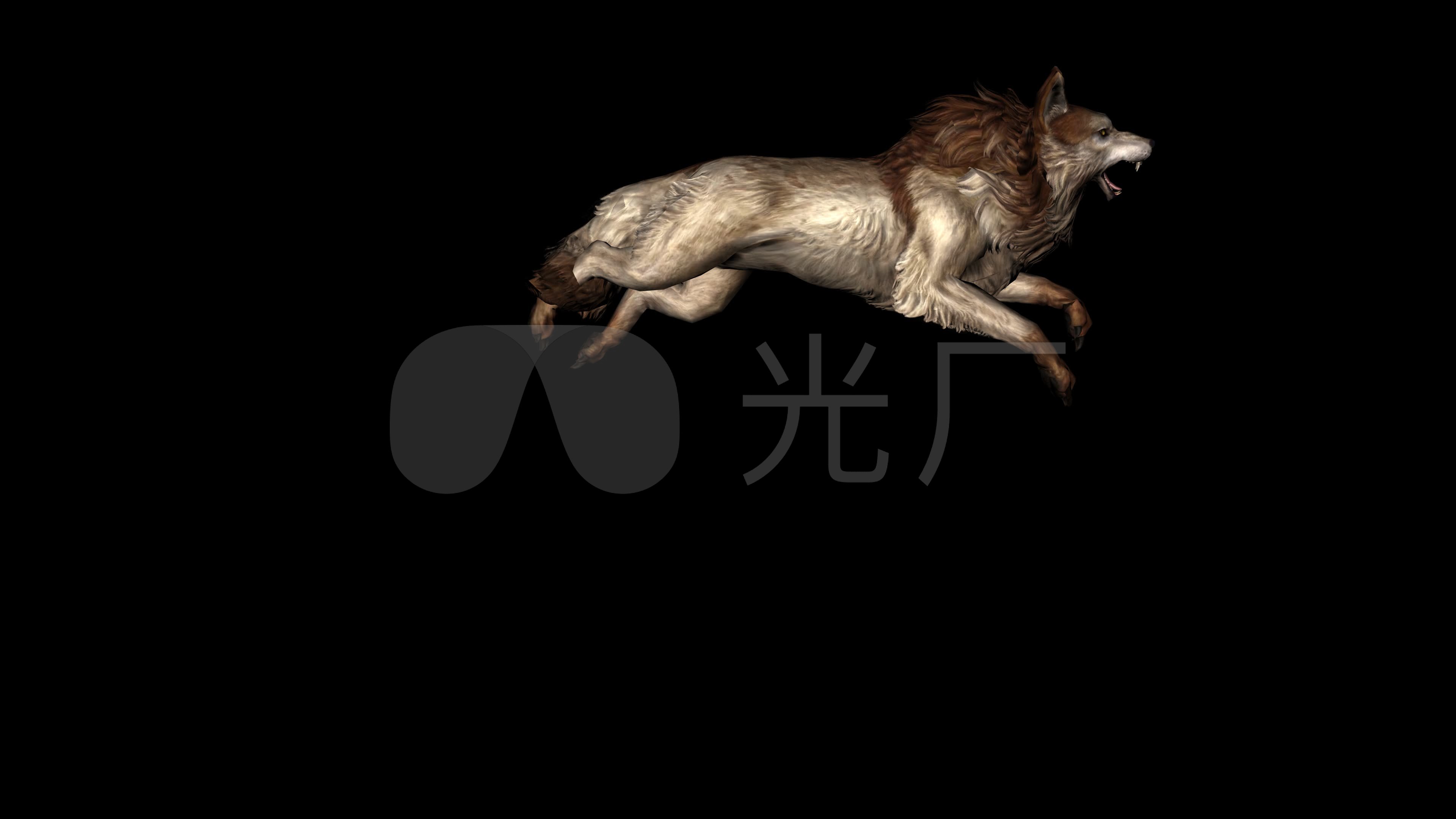 狼袭击动画05