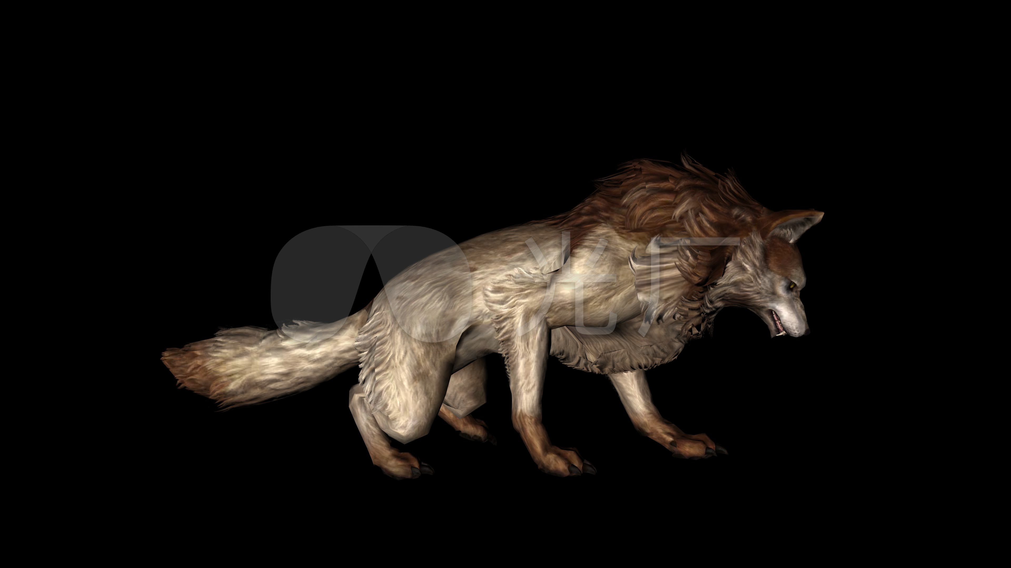 狼袭击动画11_3840x2160_高清视频素材下载(编号:3692982)_影视包装