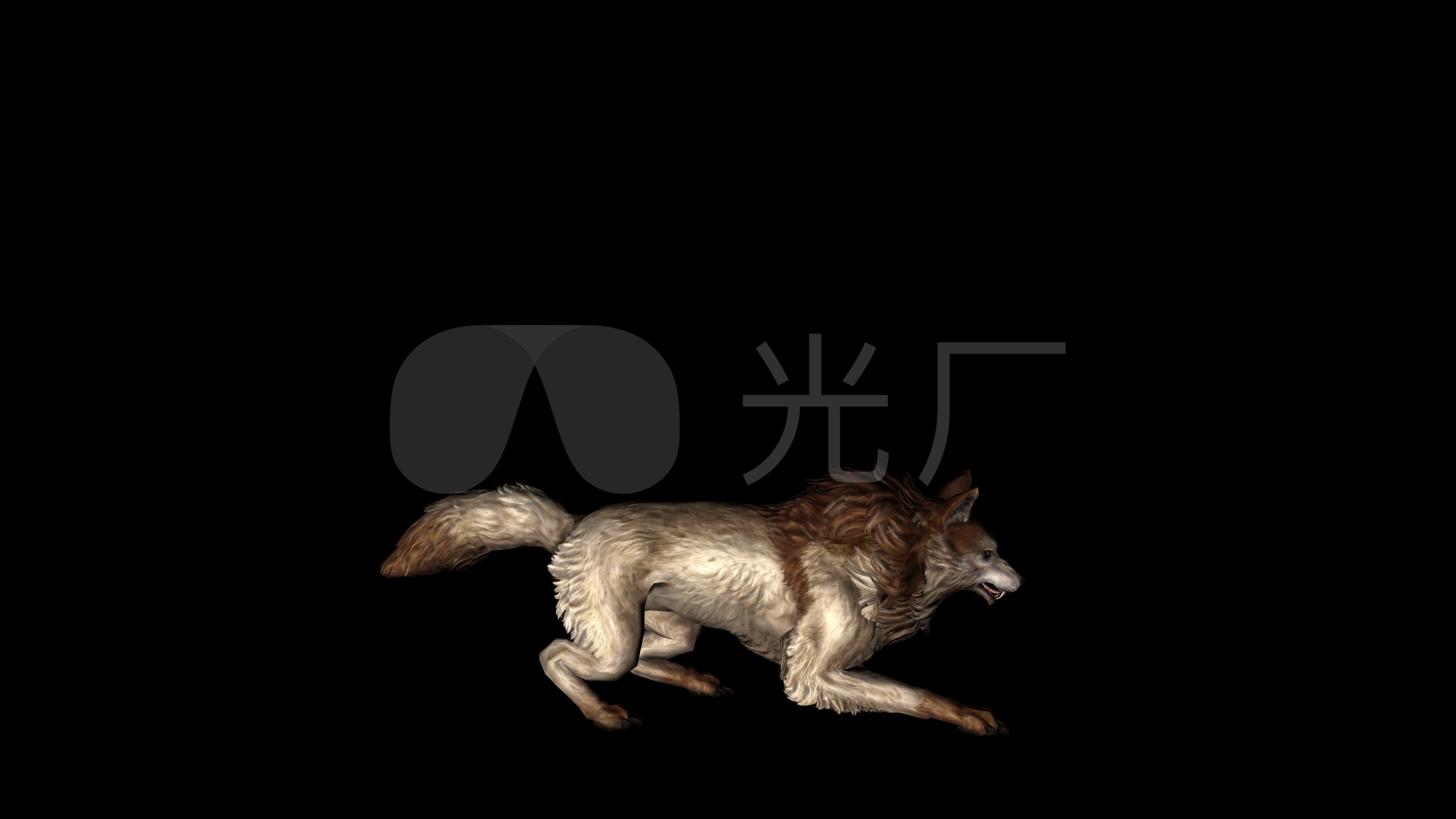 狼袭击动画01_3840x2160_高清视频素材下载(编号:3692907)_影视包装