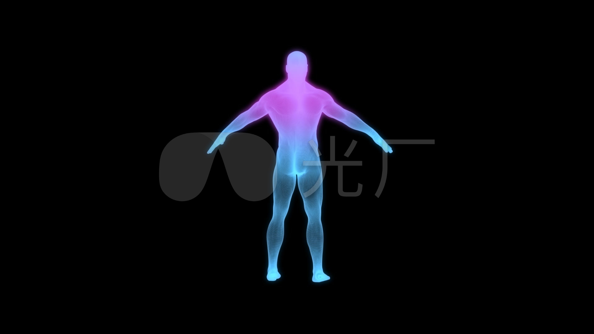 (alpha)全息人体透视图_1920x1080_高清视频素材下载
