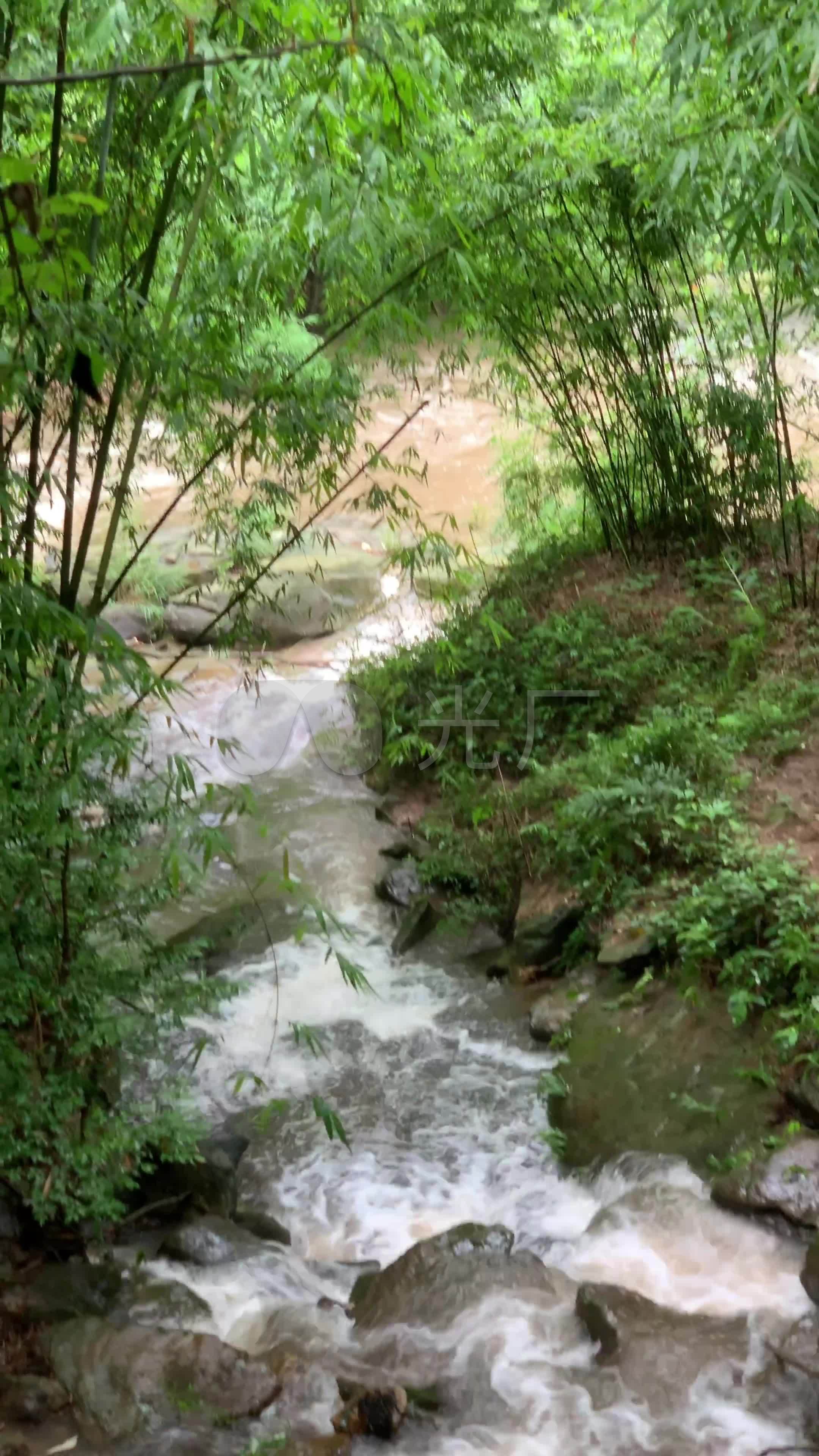 竹林小溪37竖屏4k_21603840_高清素材(编号:38443)_实拍