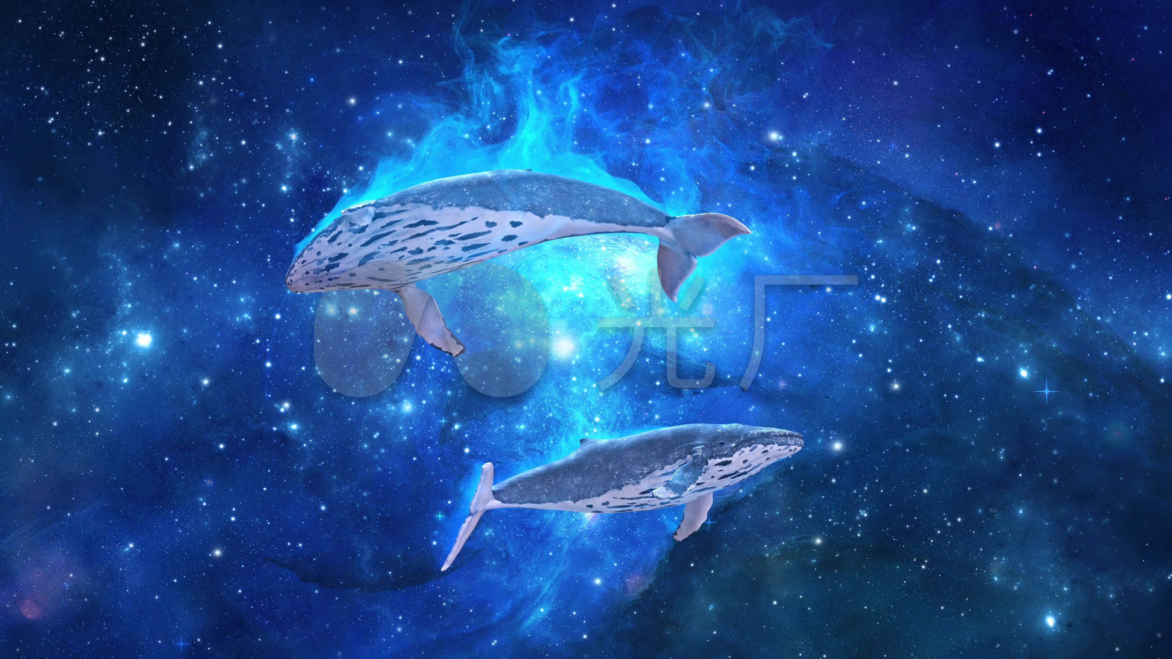 星空鲸鱼4k(02)-无缝循环