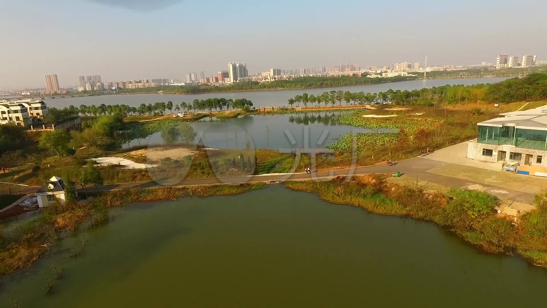 江夏 藏龙岛湿地公园 汤逊湖